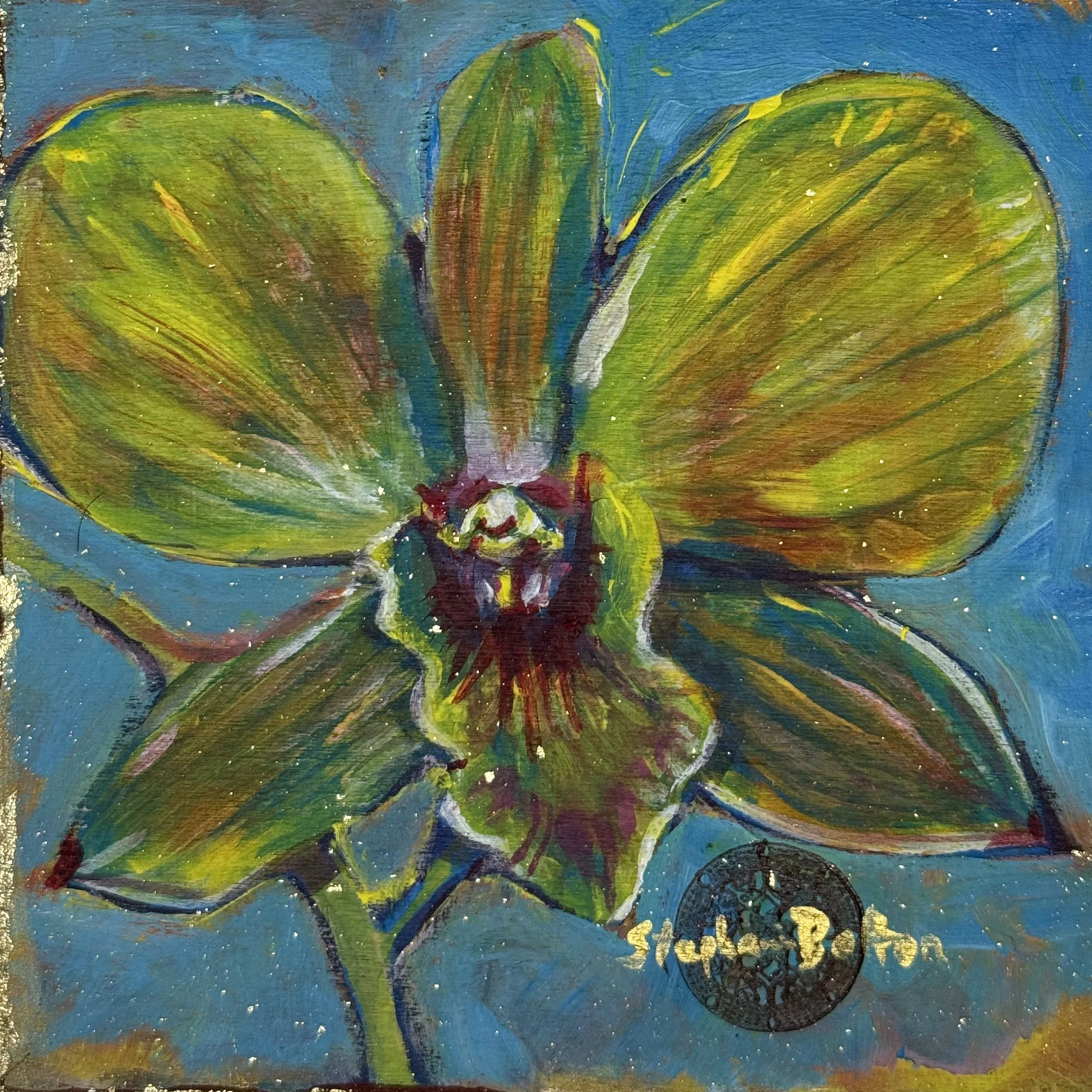 Dragonfly Orchid #5