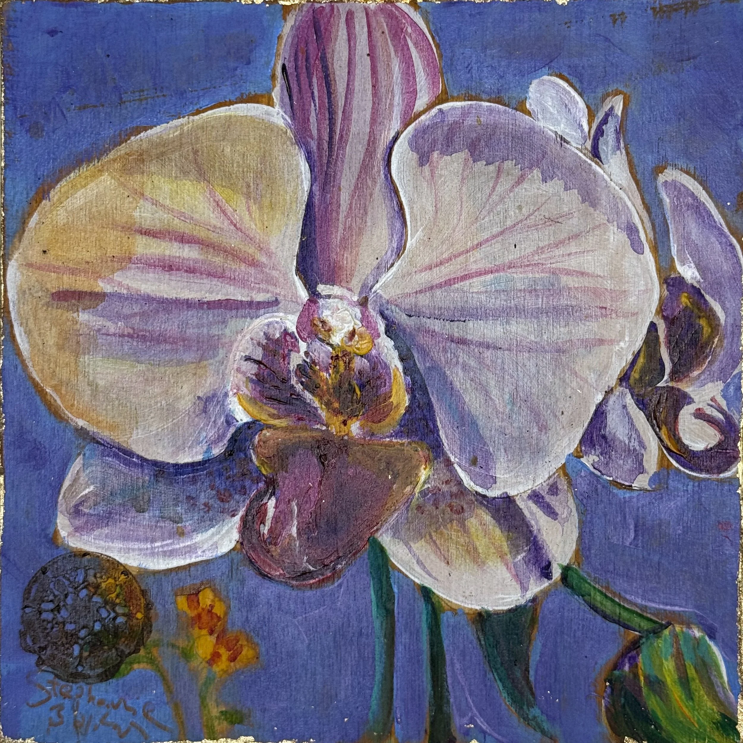 Midnight Orchid #7