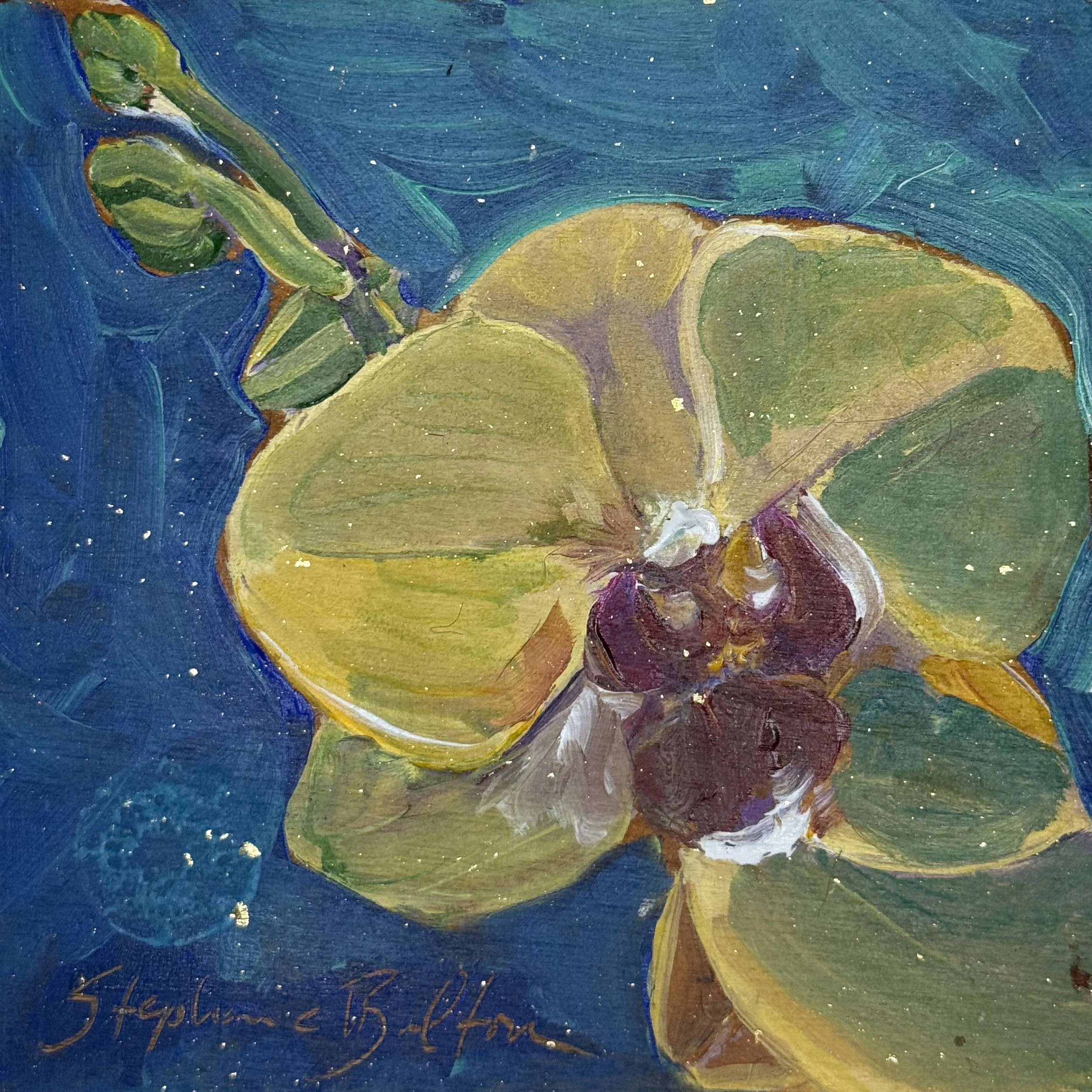 Dragonfly Orchid #4