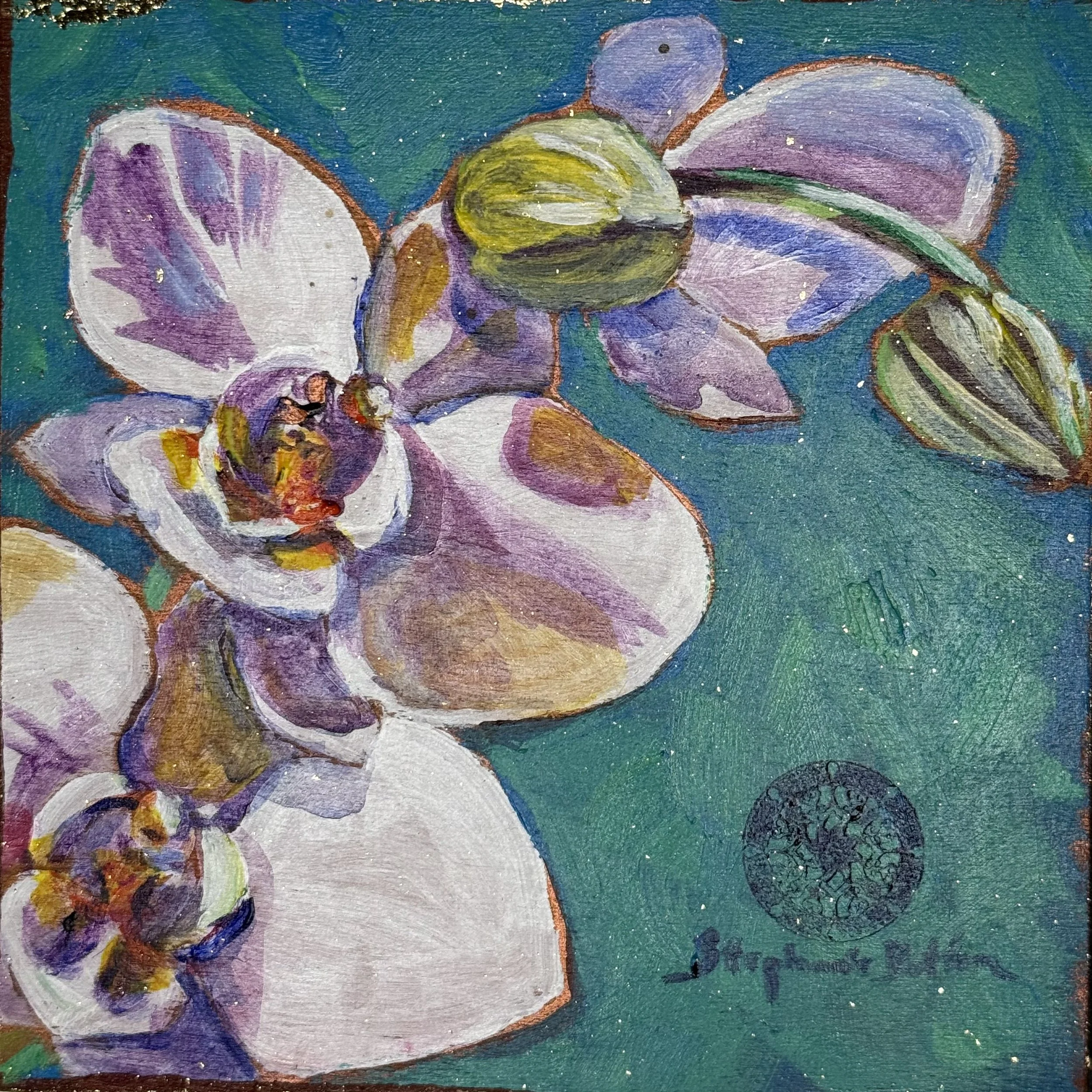 Dragonfly Orchid #6