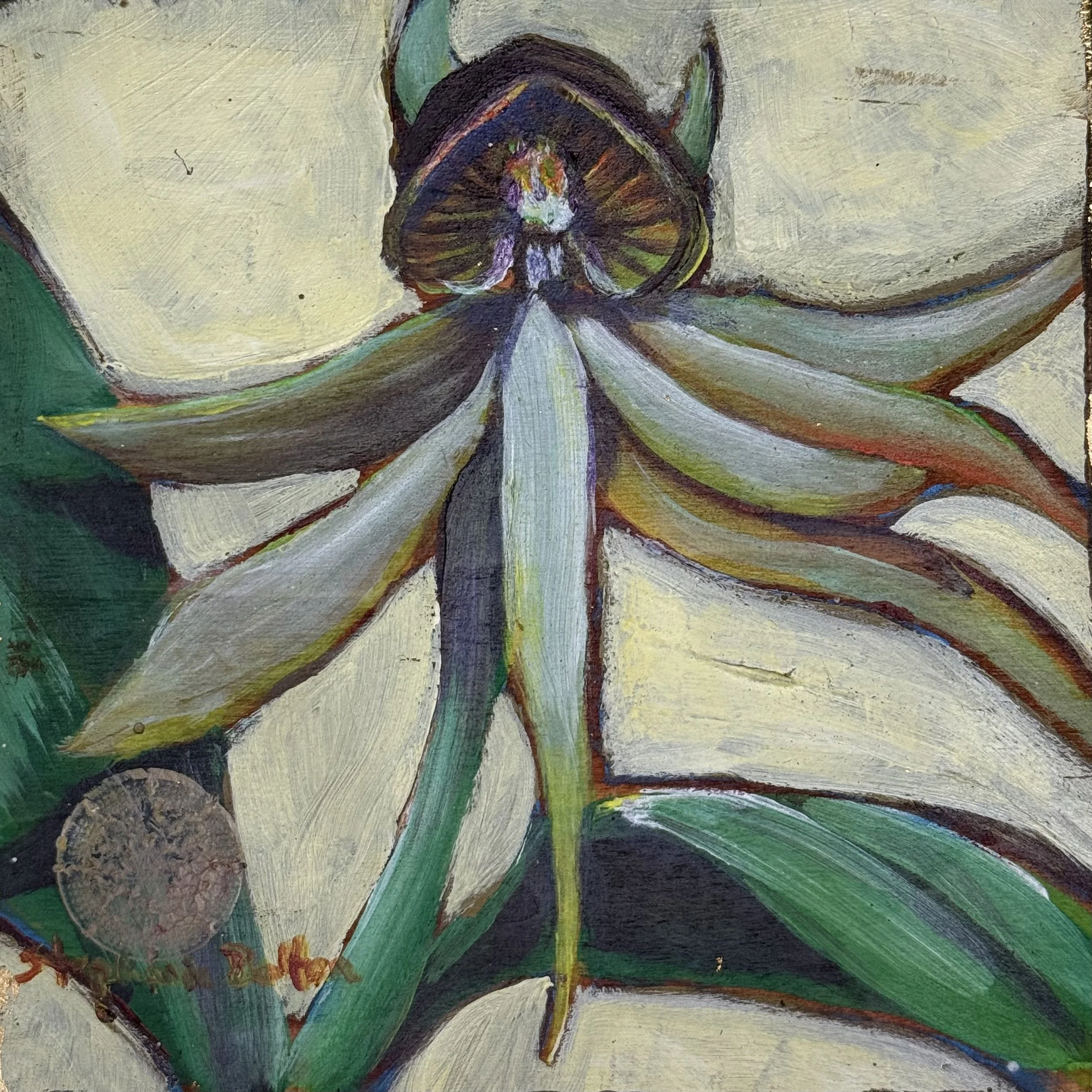 Wind Orchid #9