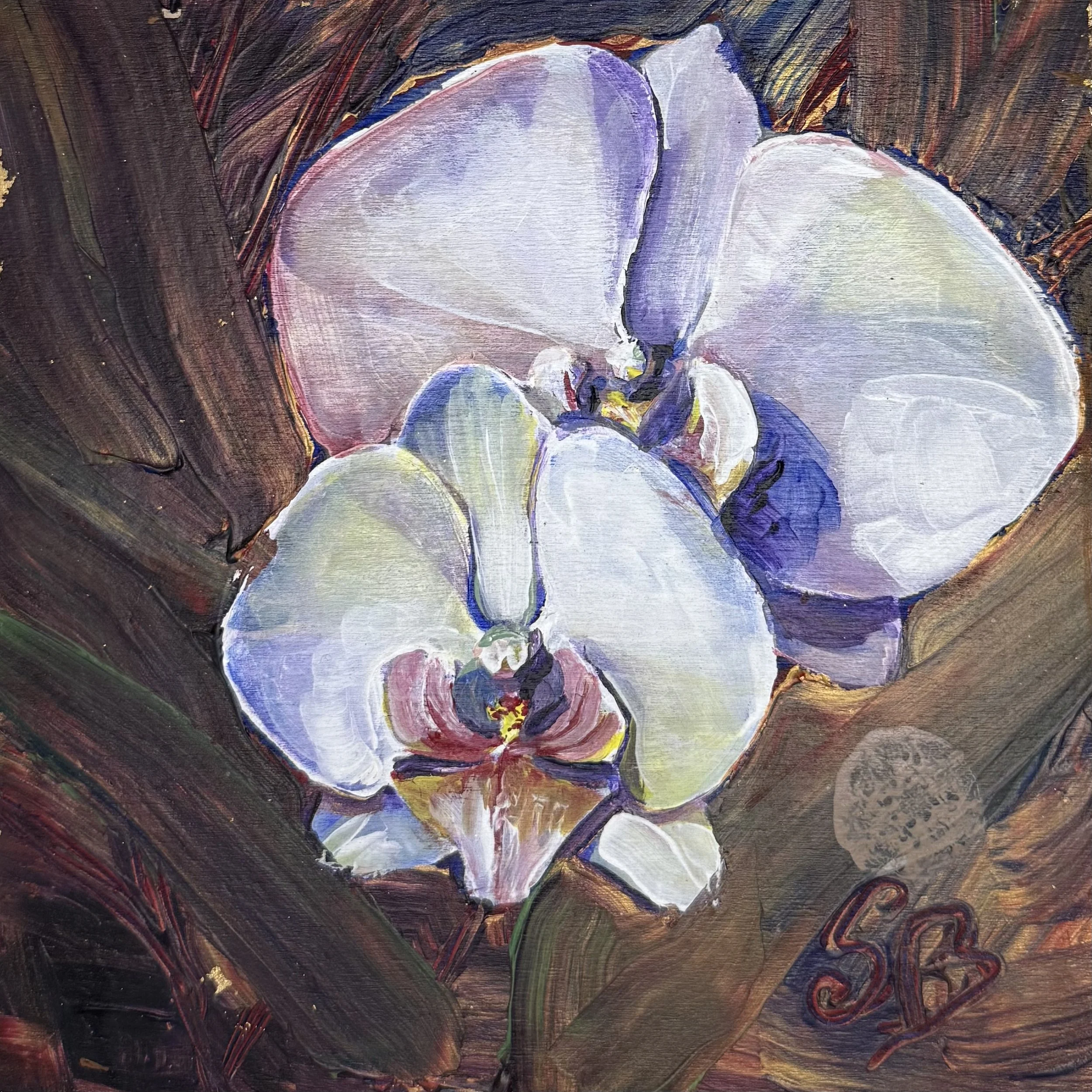 Midnight Orchid #5