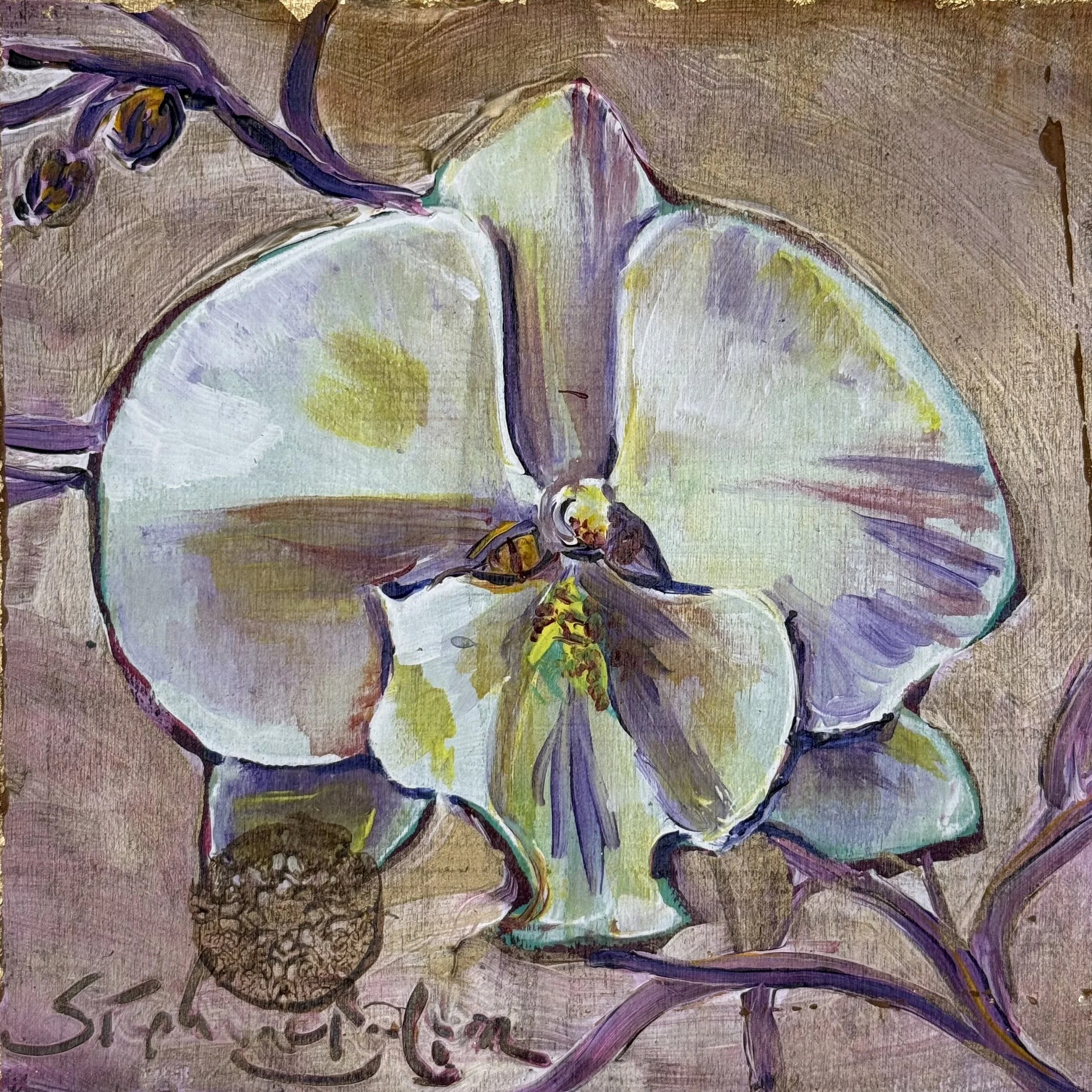 Wind Orchid #21