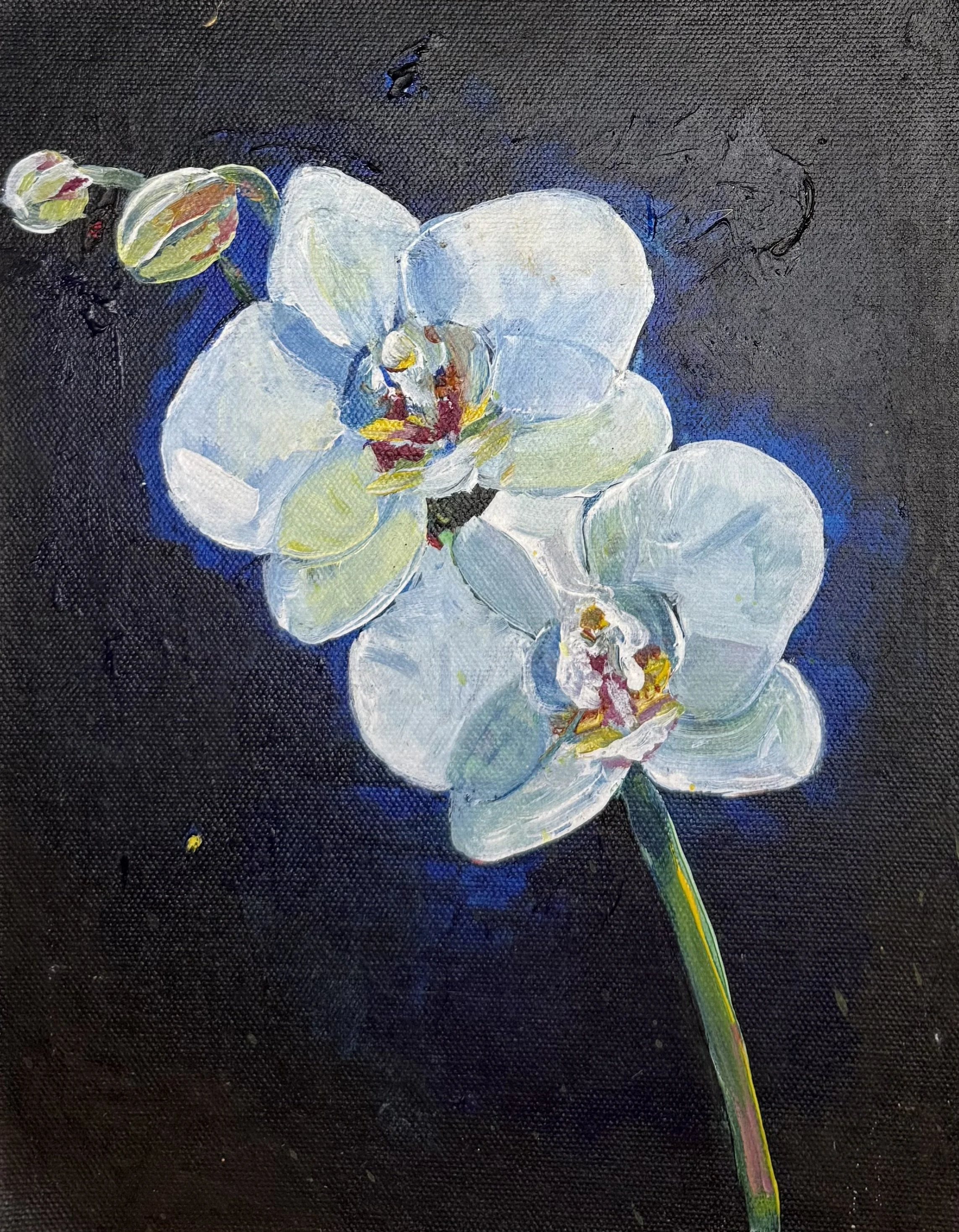 Midnight Orchid #1