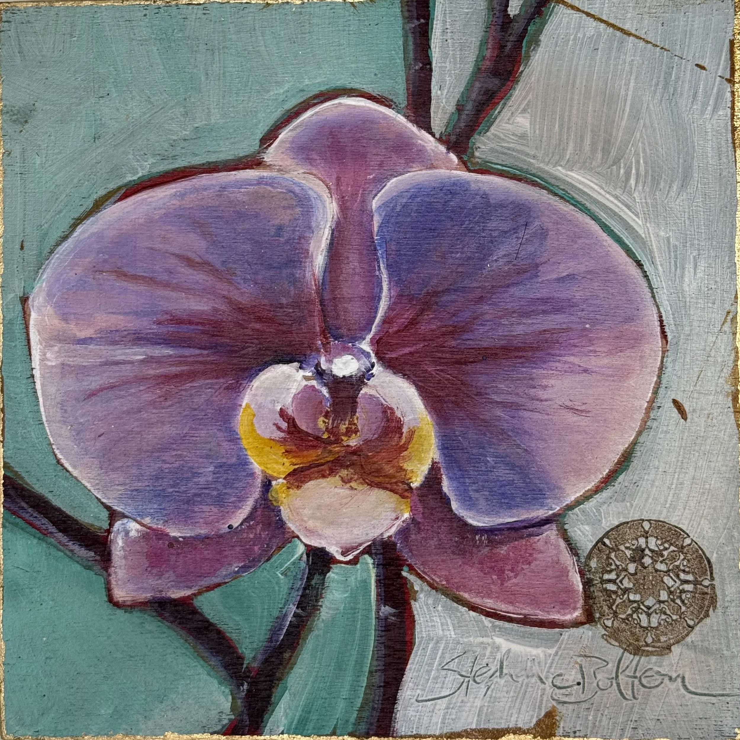 Dragonfly Orchid #1
