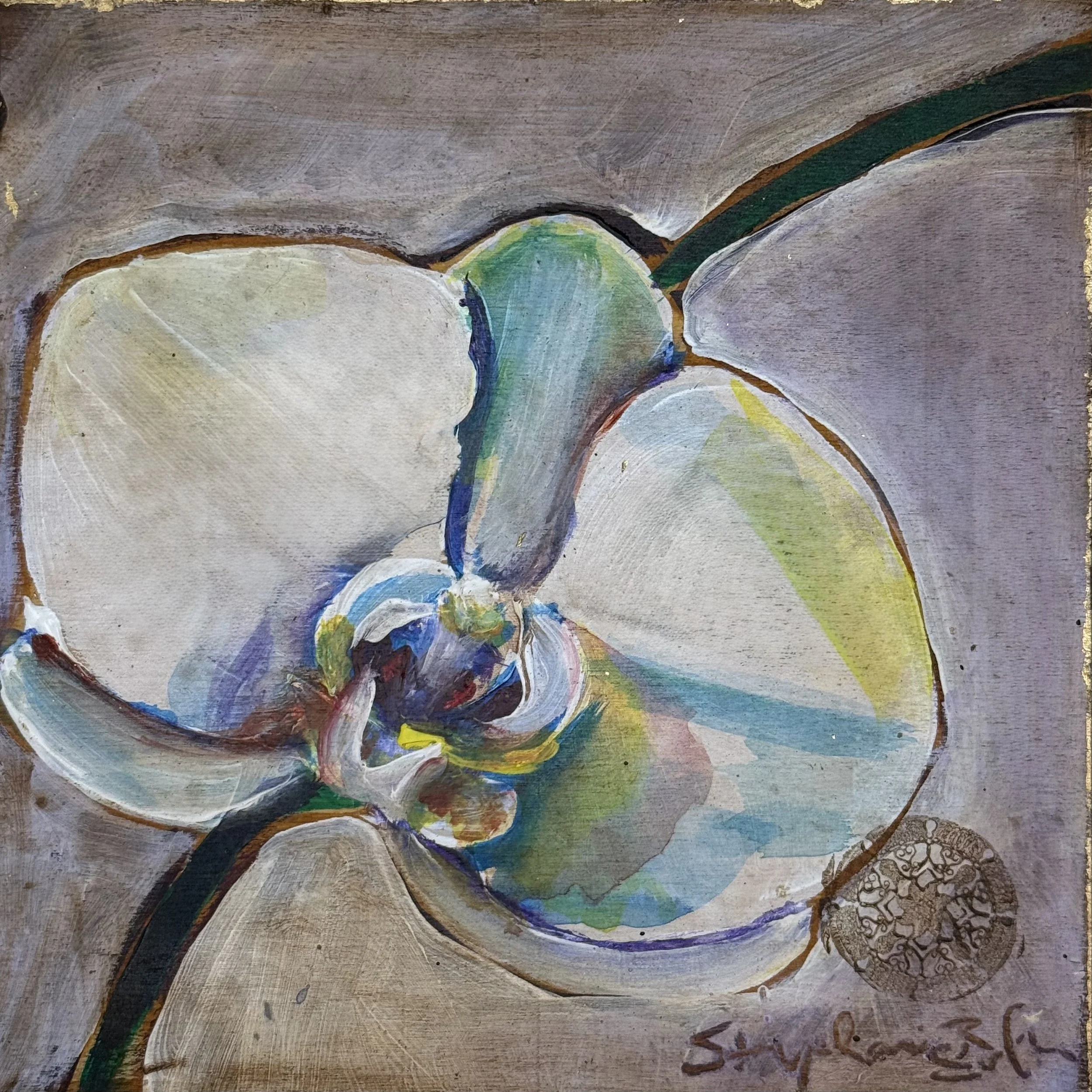 Wind Orchid #1