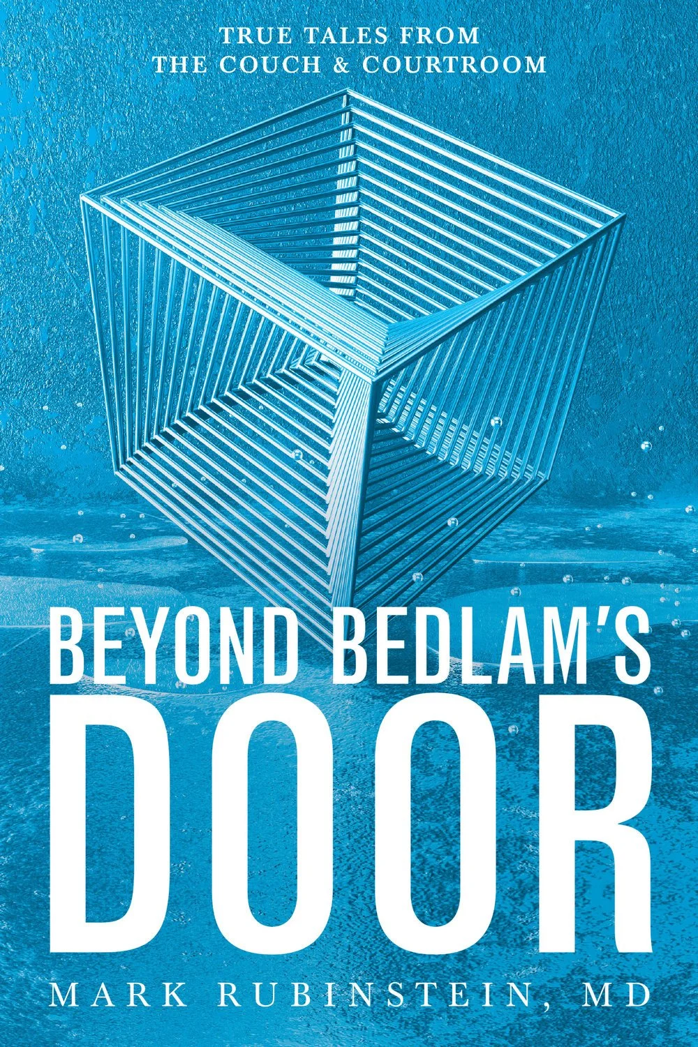 BeyondBedlamsDoor-FrontCover-Final_122016_KindleCover.jpg