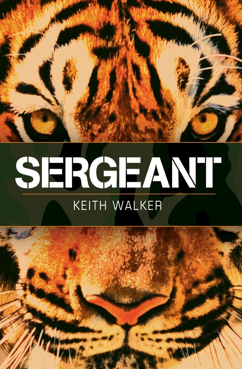 SERGEANT_CoverSpread_Final_505-116.jpg