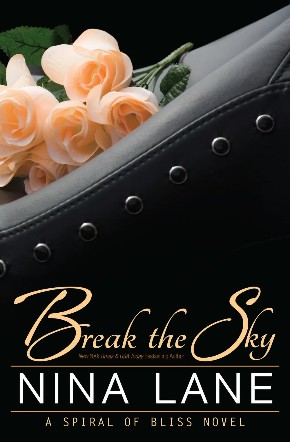 SOB_5_BREAKTHESKY_FrontCovers_Object_10917_Kindle.jpg