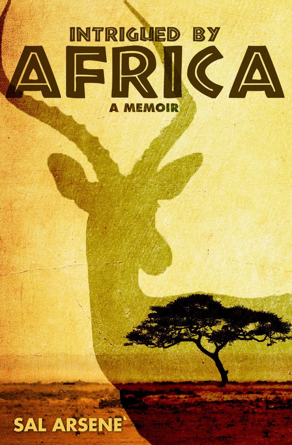 intrigued_by_africa_cover_1400px_wide_519-98.jpg