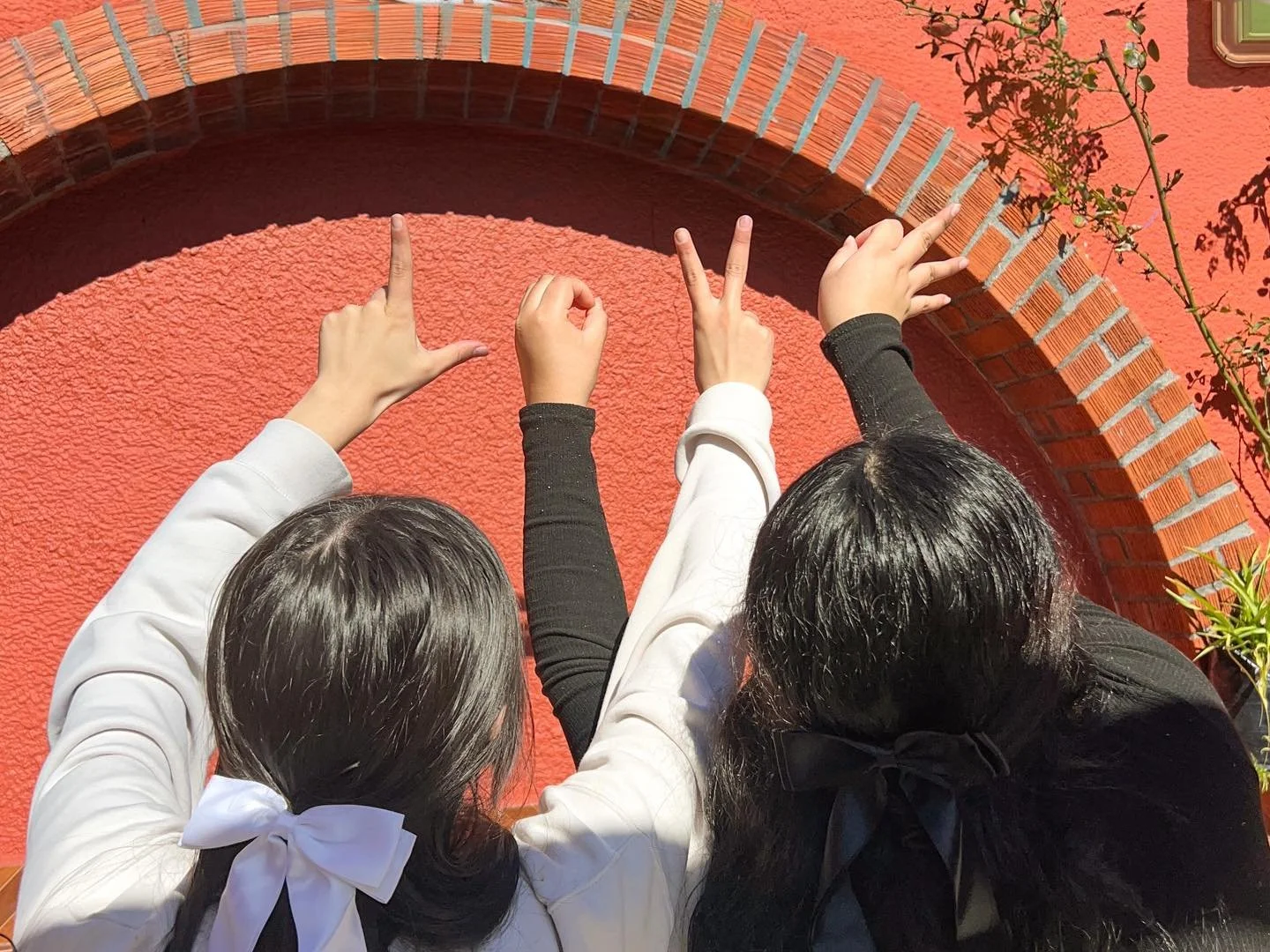 Ahava means love&mdash;and that&rsquo;s exactly what this house is built on.

Love that restores.
Love that protects.
Love that reminds every girl she is seen, valued, and never alone.

At Ahava House, love isn&rsquo;t just a word&mdash;it&rsquo;s sh