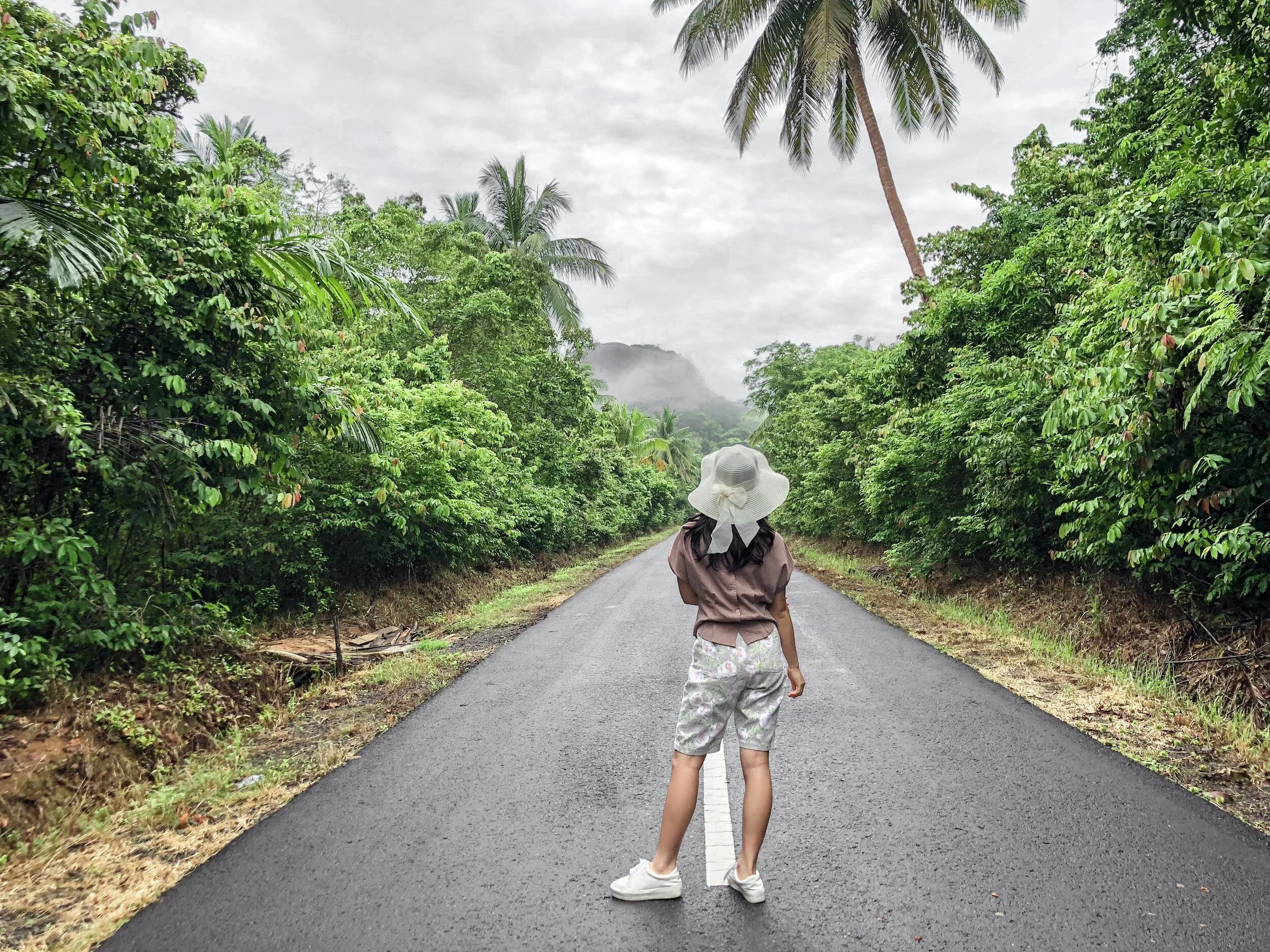 Persona de pie en una carretera rodeada de vegetación tropical, con palmeras y cielo nublado.