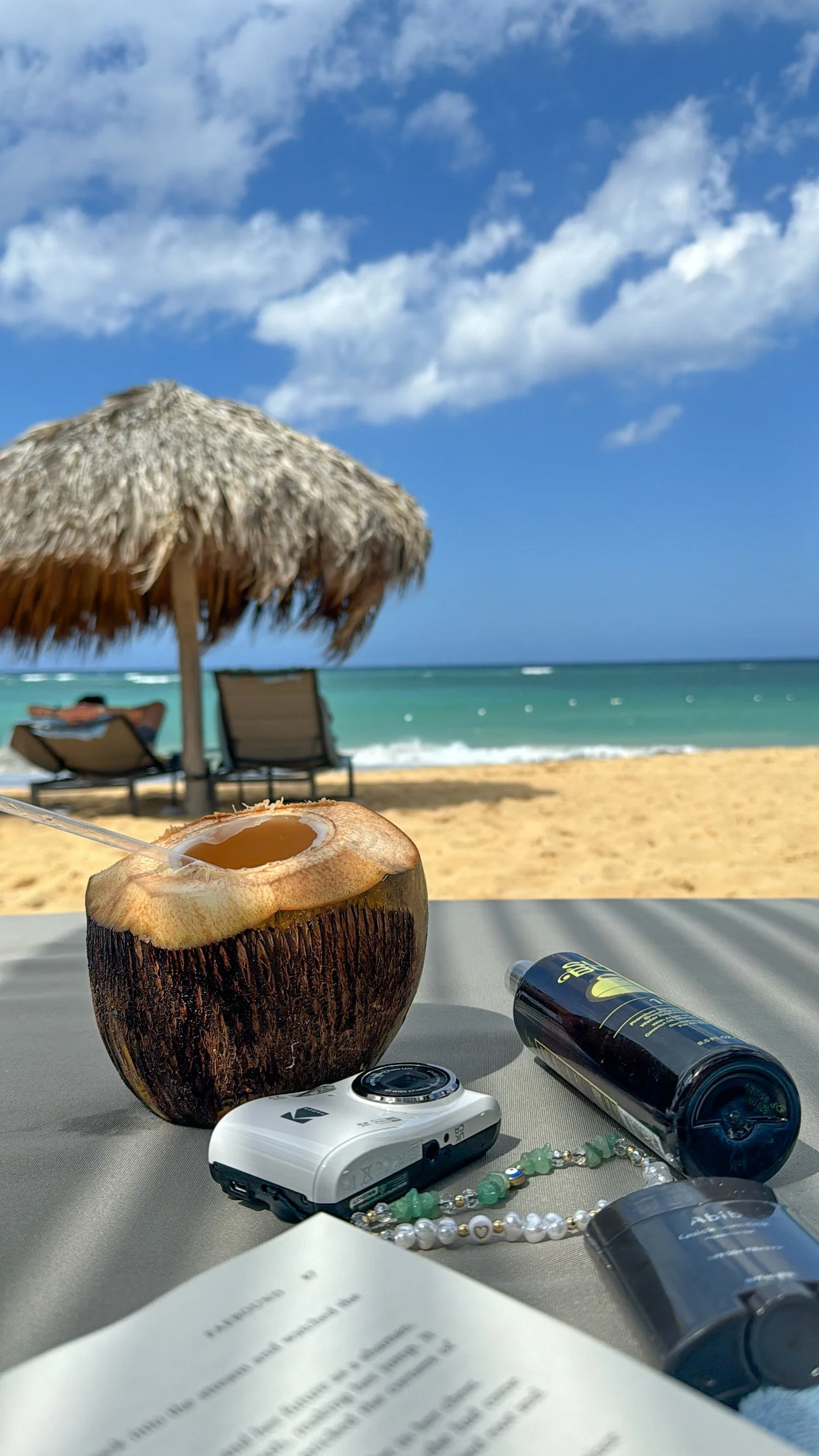 Guía Completa Tips para Viajar a la Playa