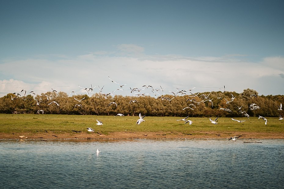 Perch Wedding - Alissa & Sam - Lee Dann Photography-388.jpg