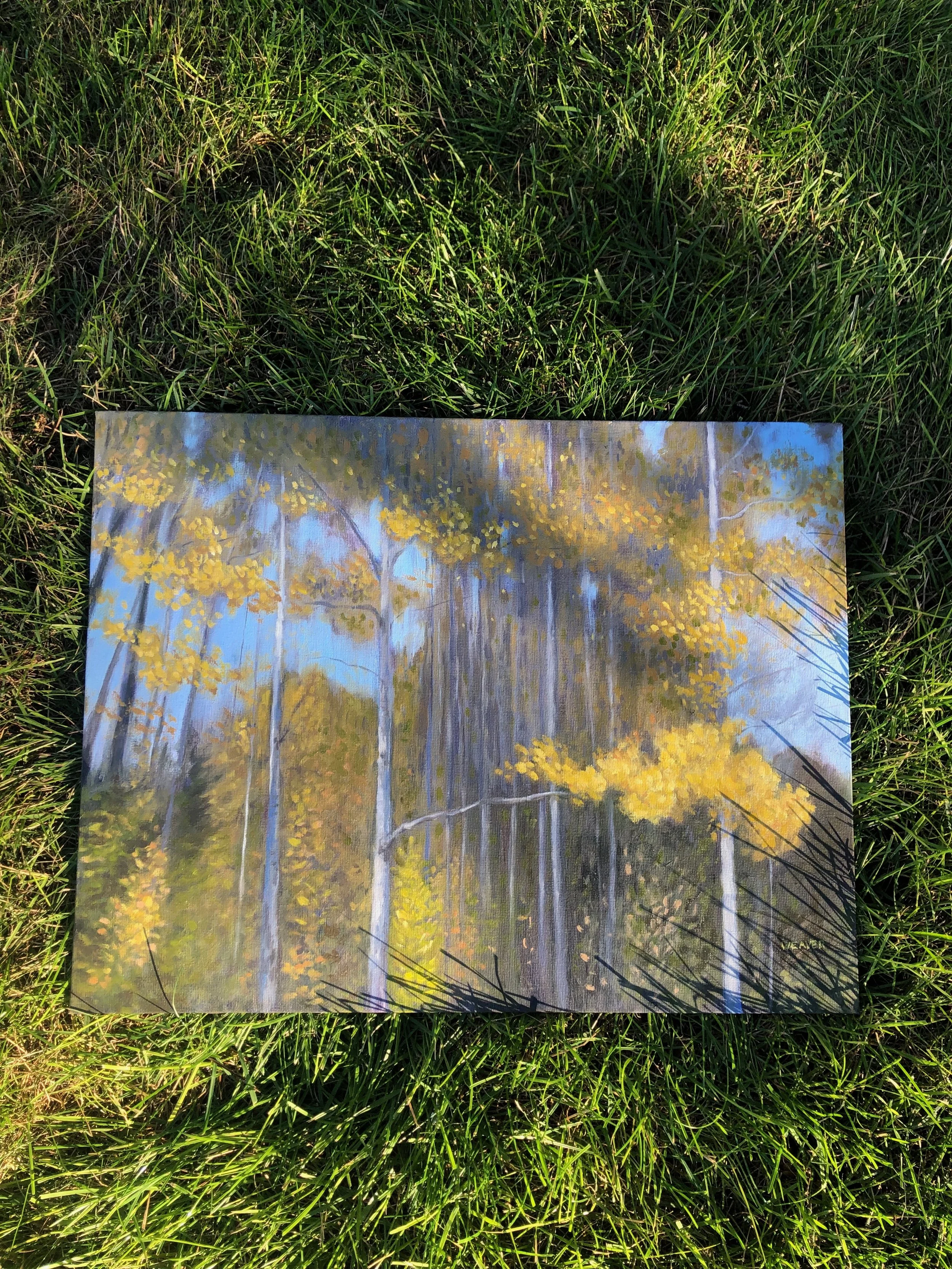 goldenpoplars_grass_sun.jpeg