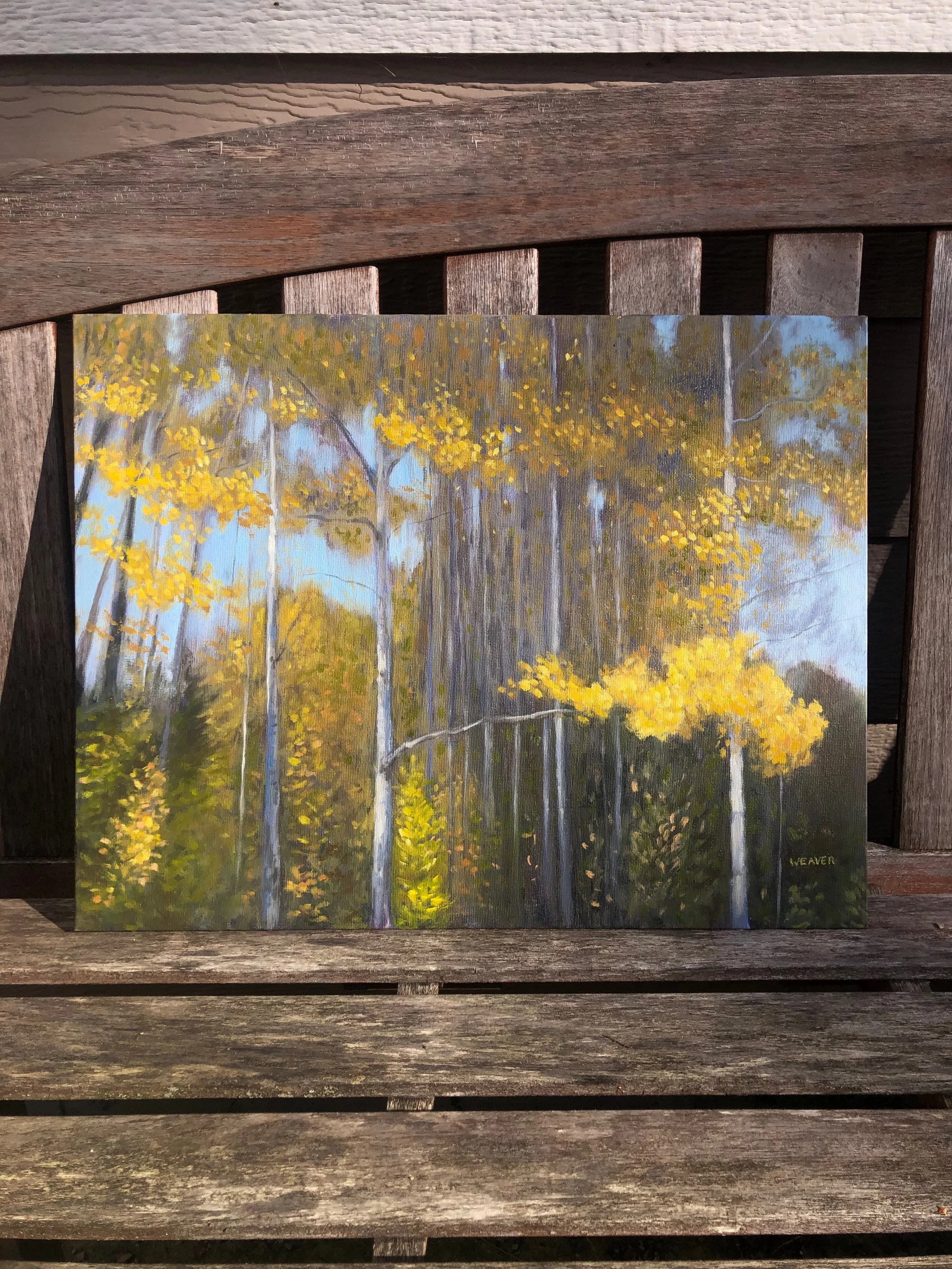goldenpoplars_bench_sun.jpeg