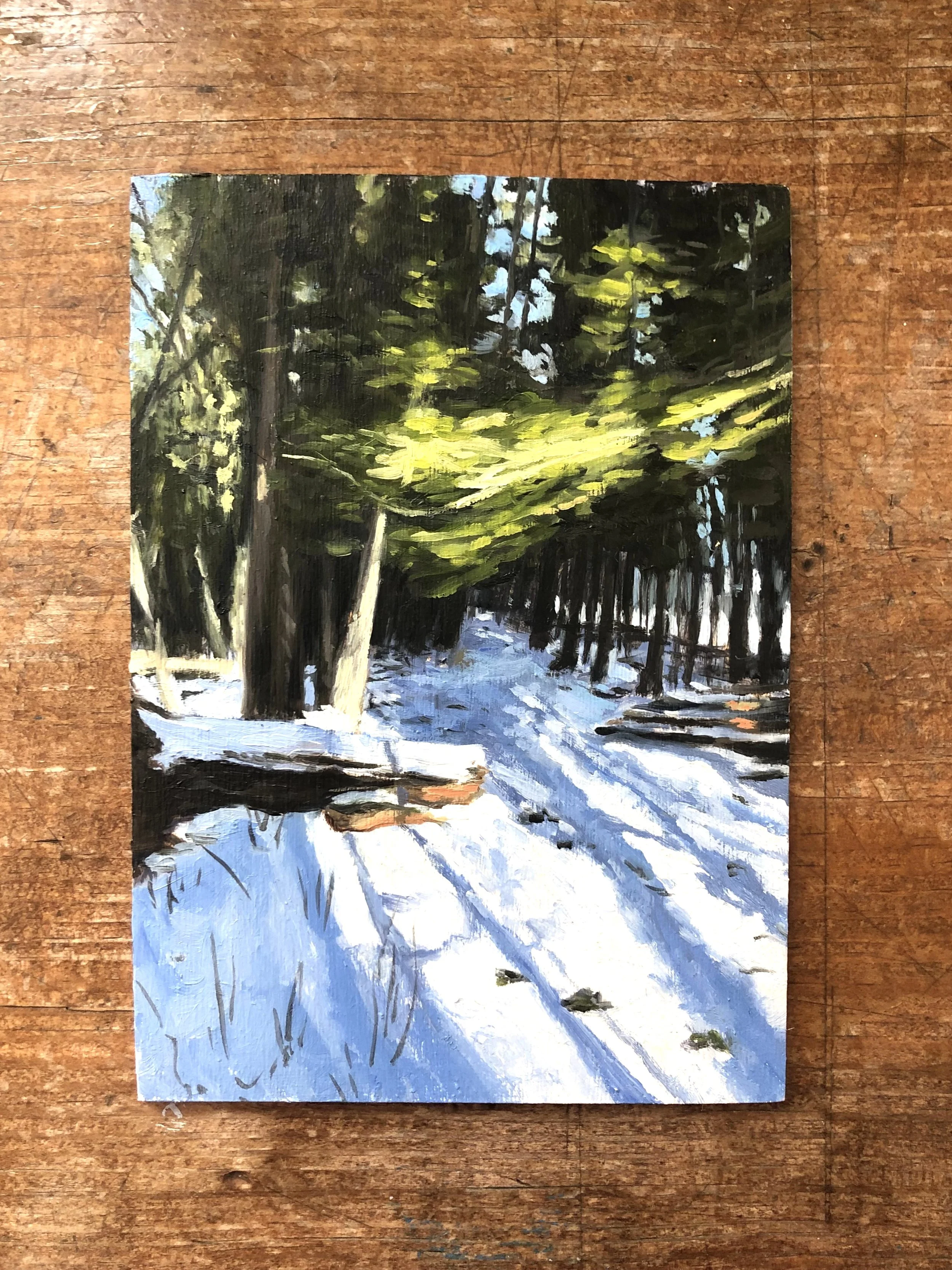 winter trail light burst_desk.jpeg