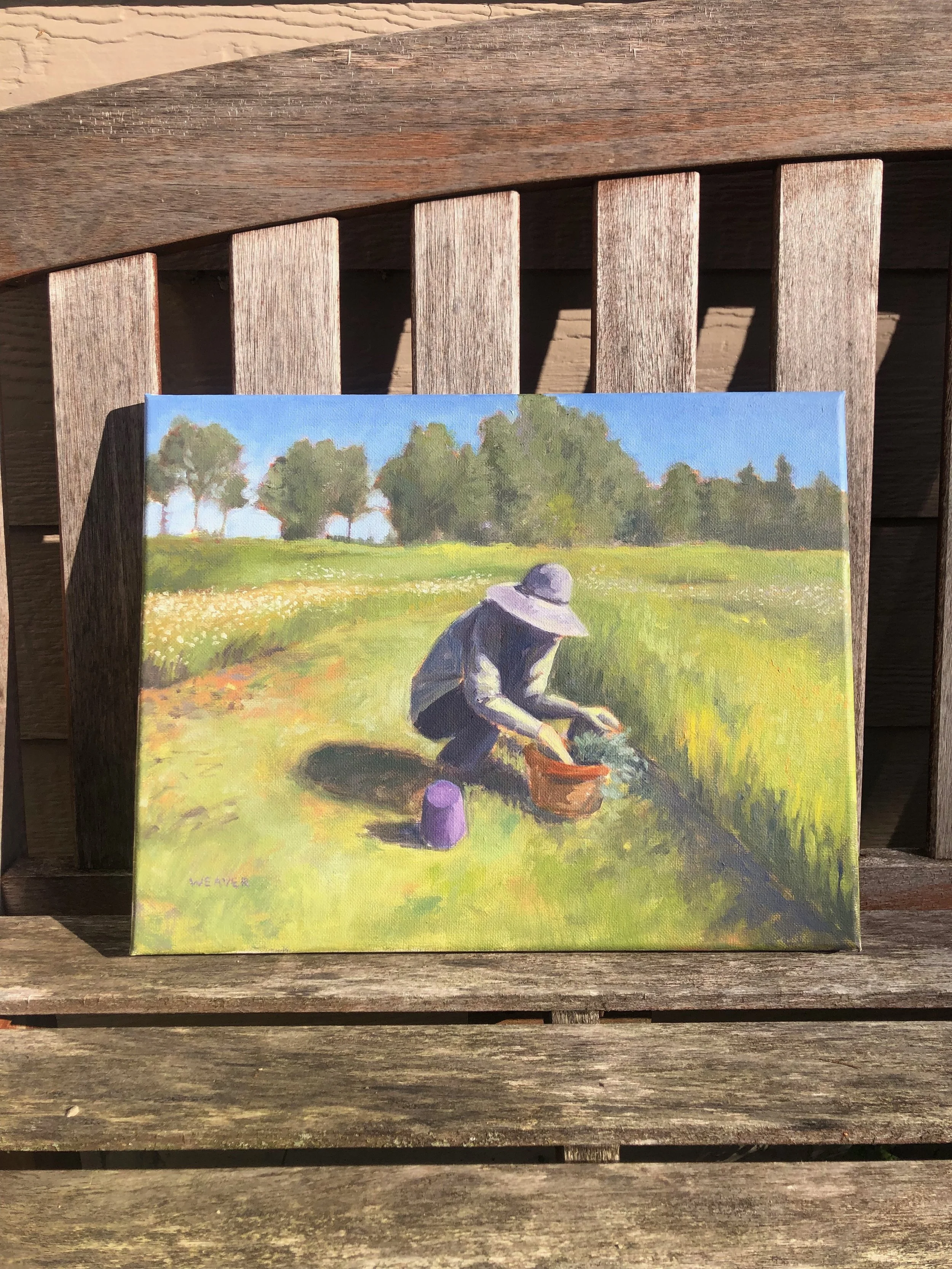 gardener 1_bench_sun.jpeg