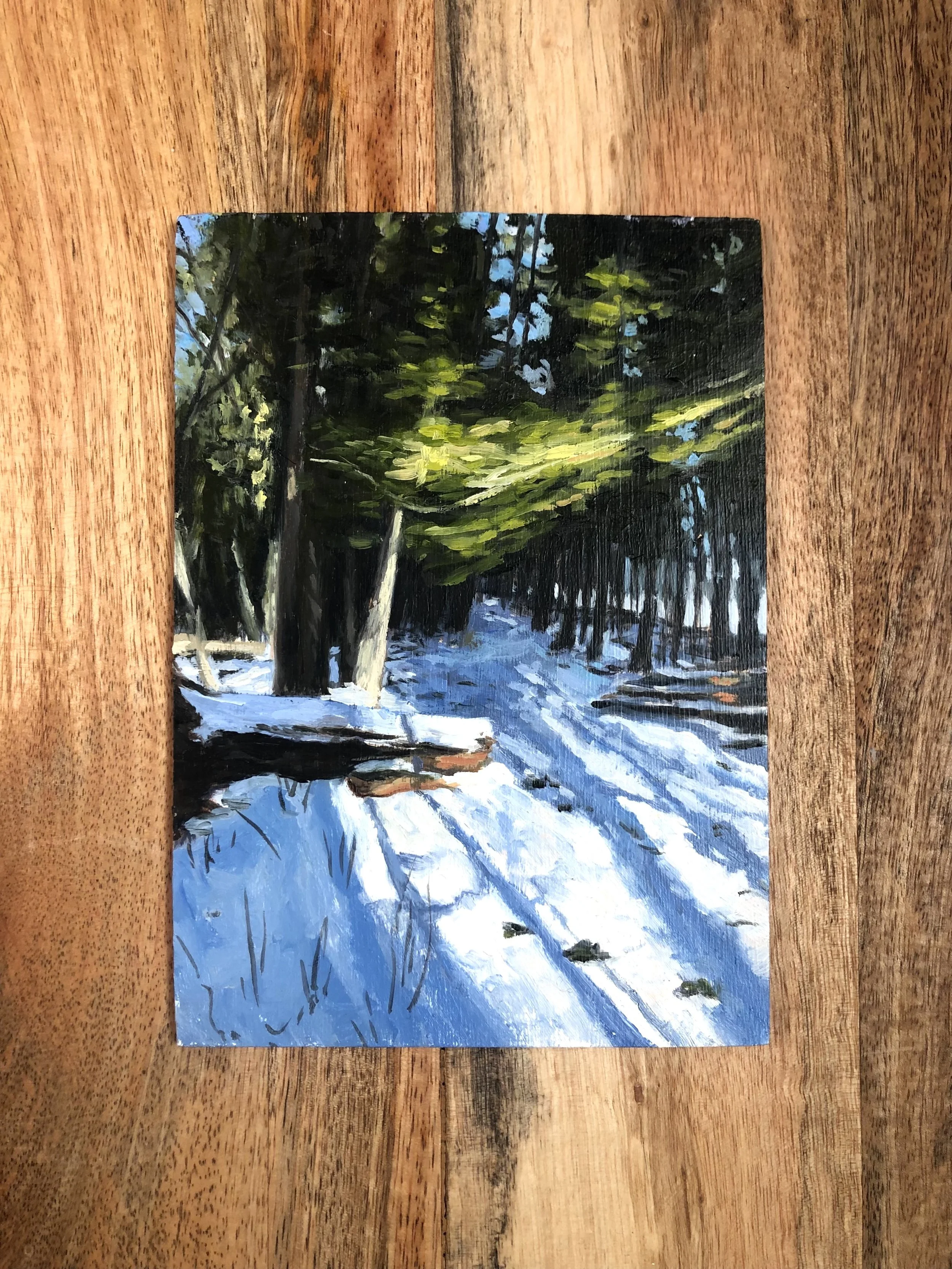 winter trail light burst_tray.jpeg