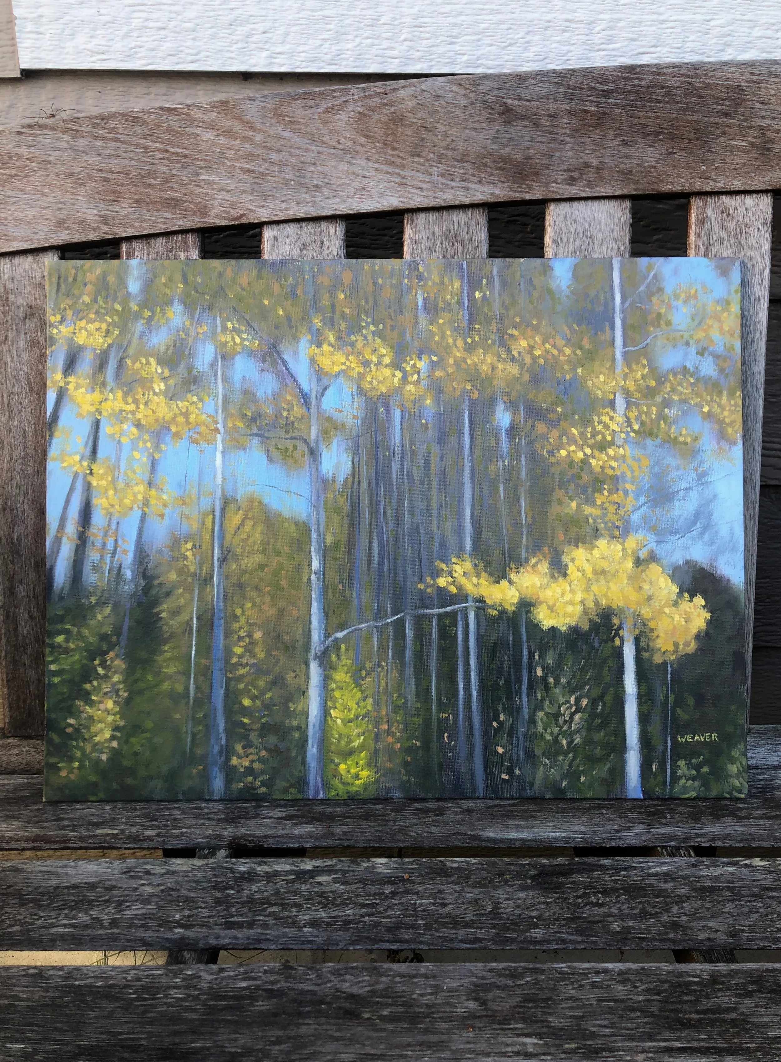 goldenpoplars_bench_shade.jpeg