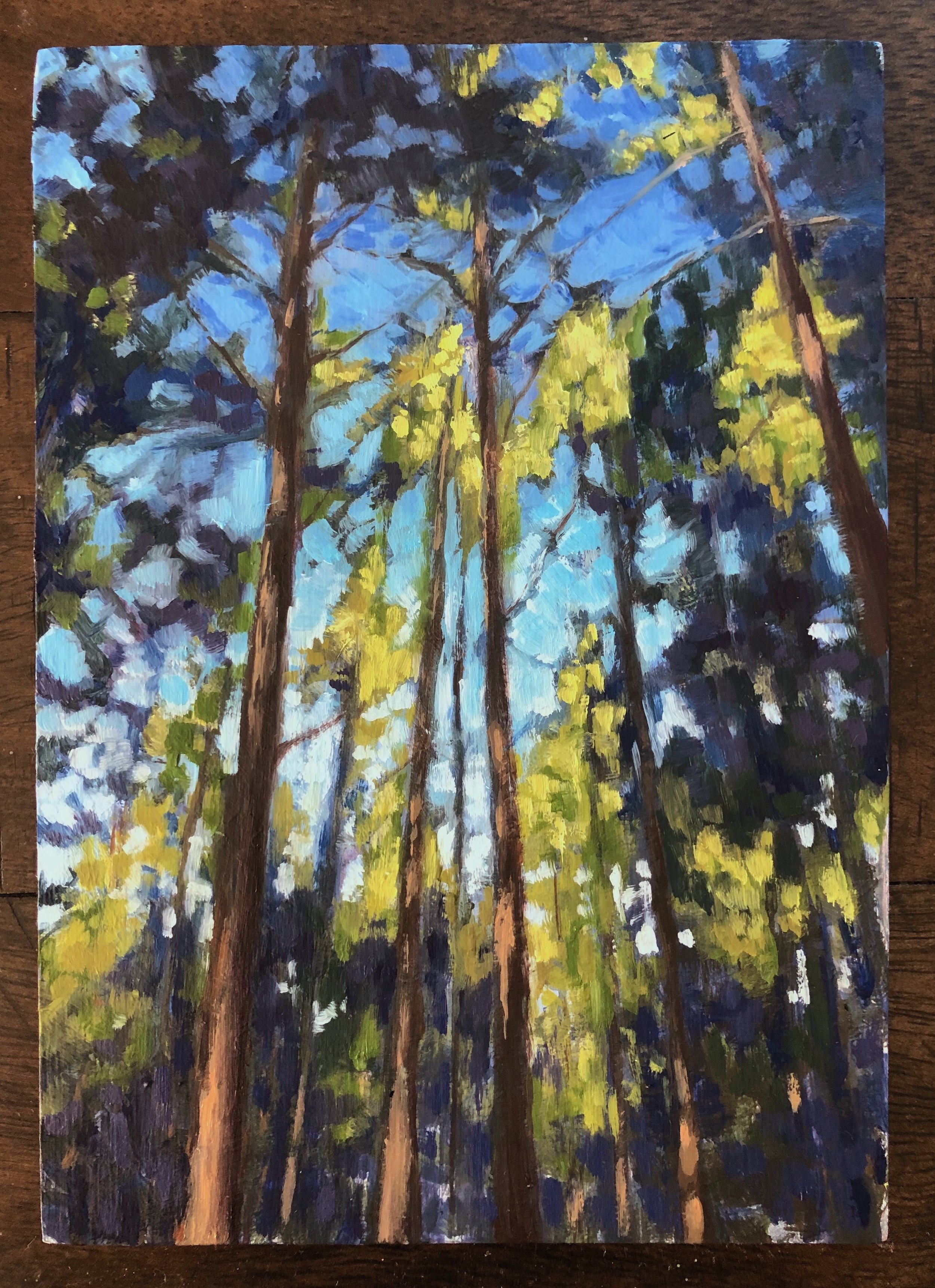 tall trees study darker.jpeg