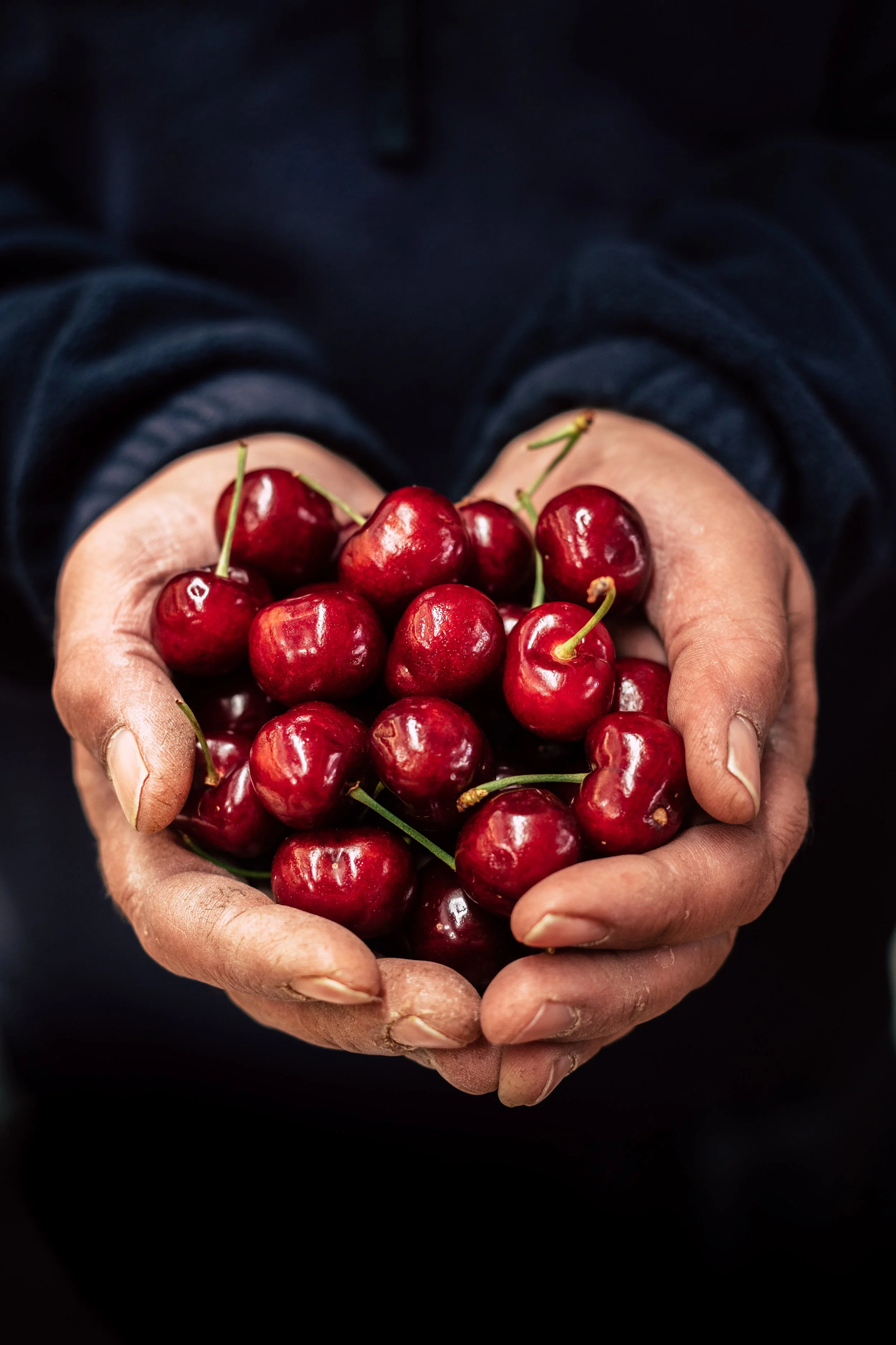 CHRISTMAS AT THE MARKETS