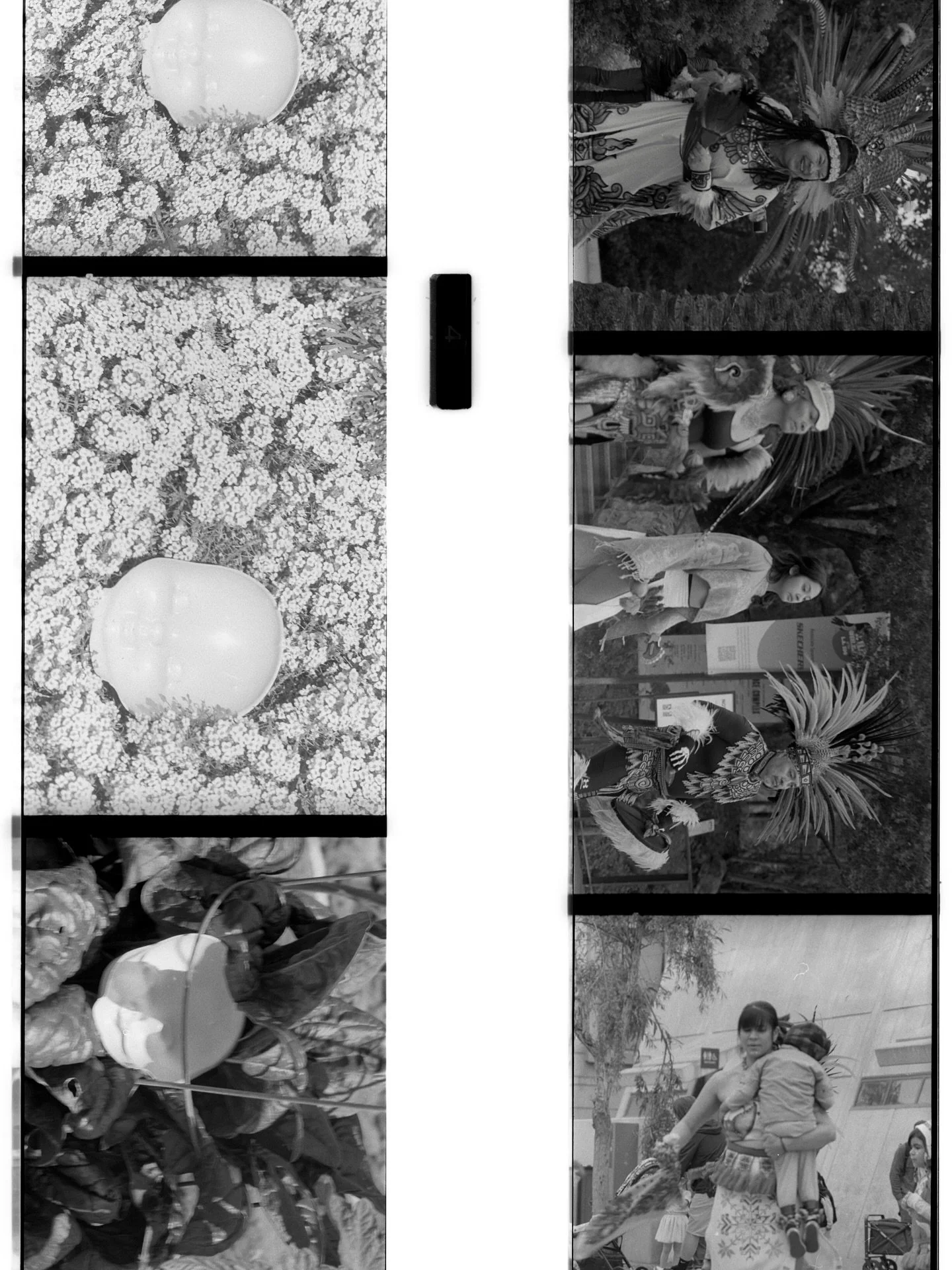 6400 dpi. #55mm #blackandwhite #illfordhp5