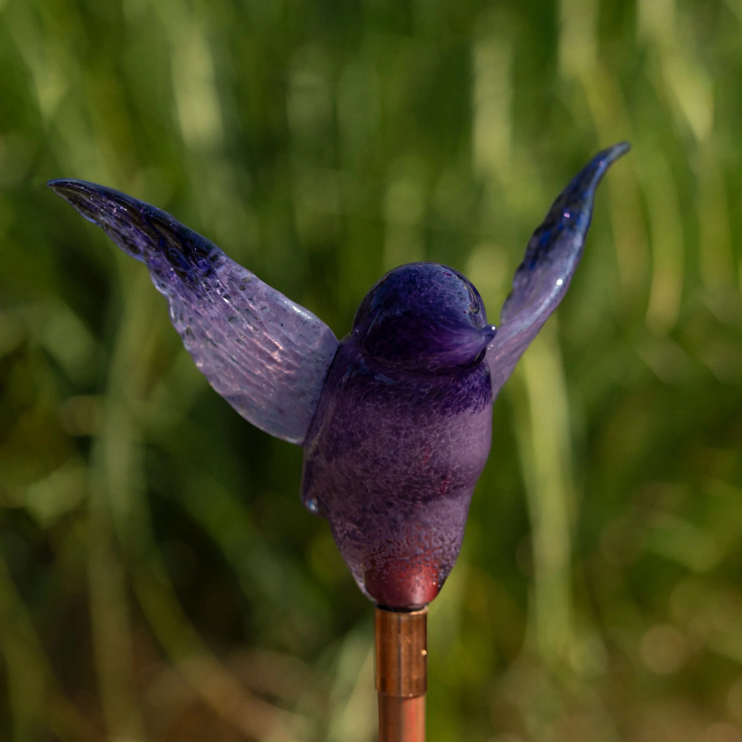 hummingbirds025.jpg