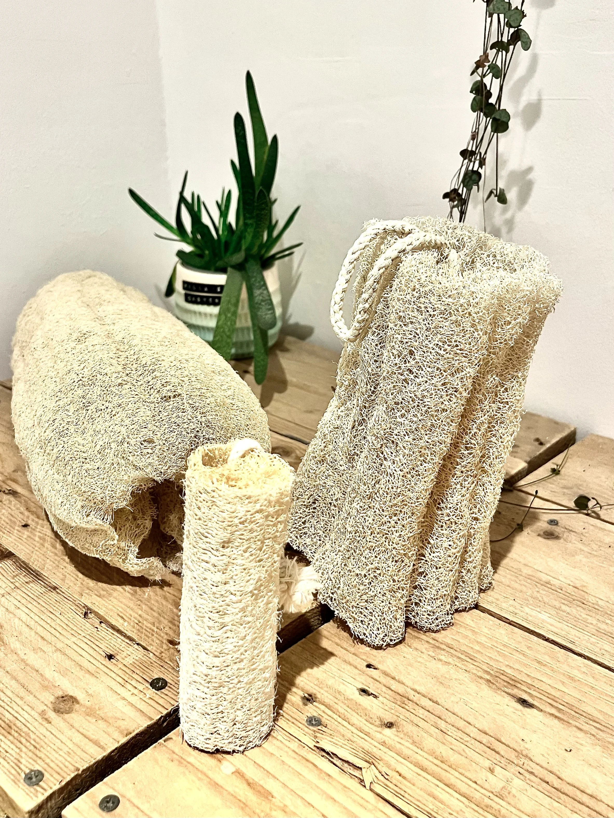 Natural Loofah Sponge