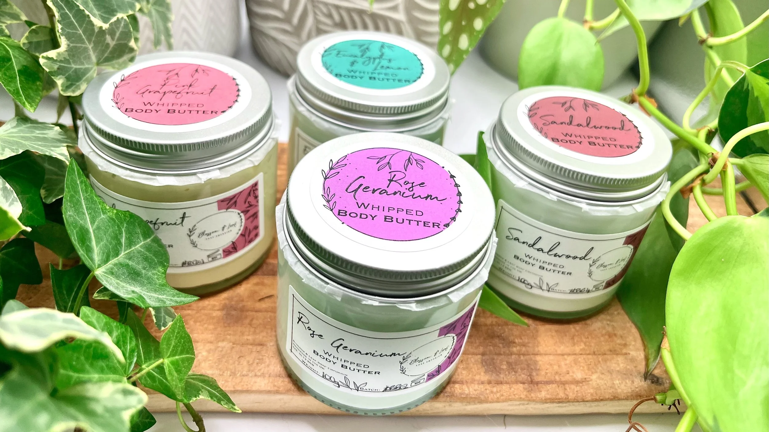 IMG_5144.jpeg (Copy) (Copy)