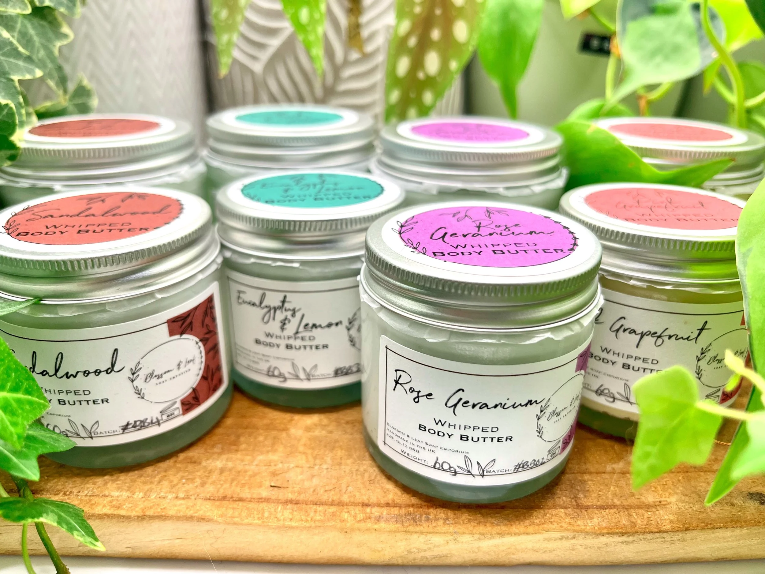 IMG_5083.jpeg (Copy) (Copy)