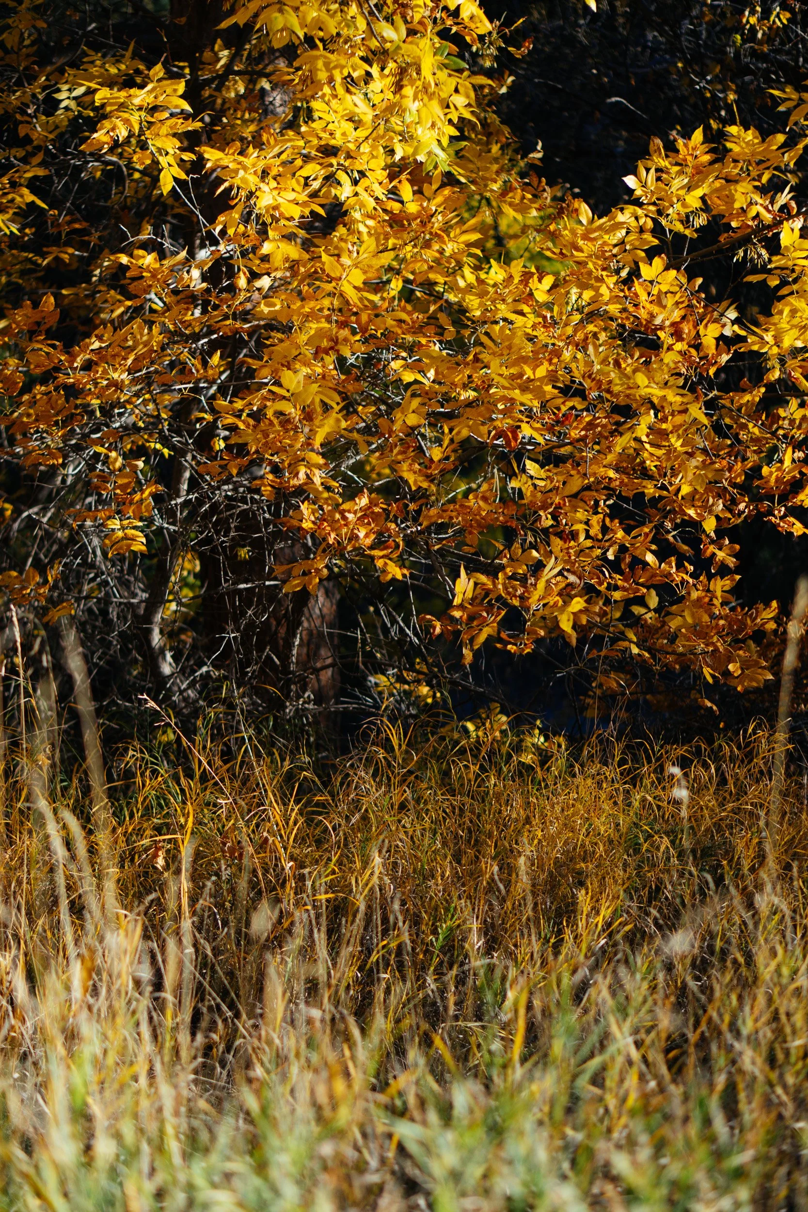 October