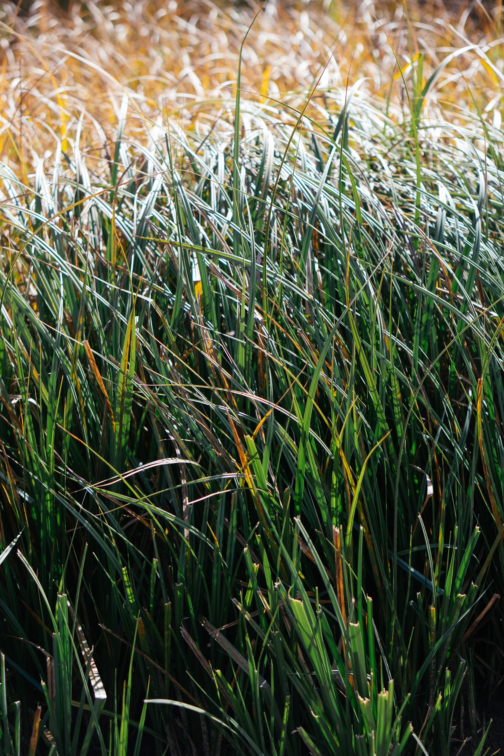 September