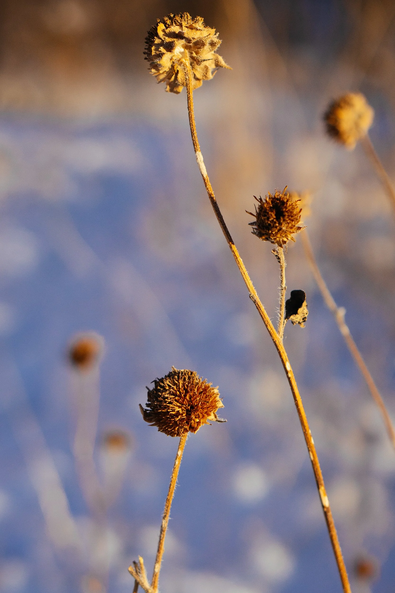 November