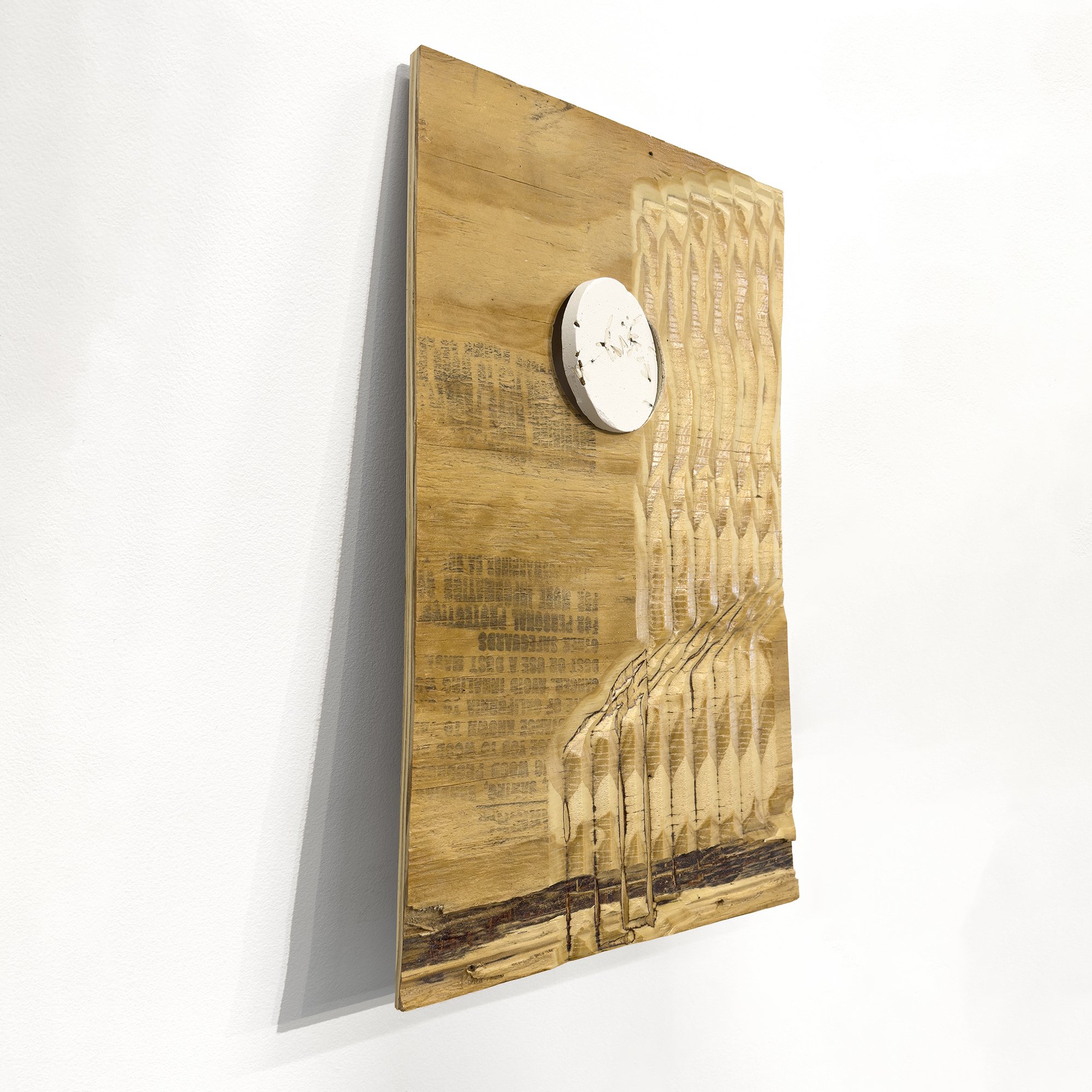 Interior Echoes 1 
Reclaimed termite-marked wood, joint compound, termites 
11” W x 18” H x 4” D 
2024