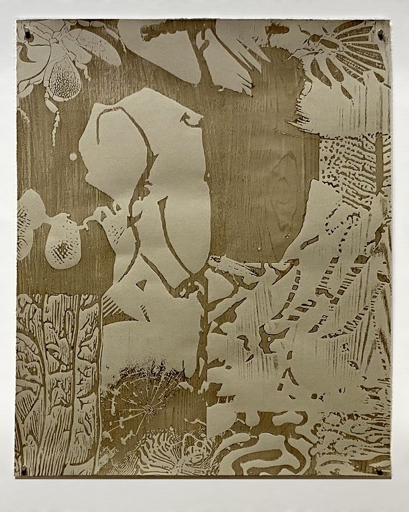 Coming for the maple (Edition of 12), 26” h x 20” W, 2023