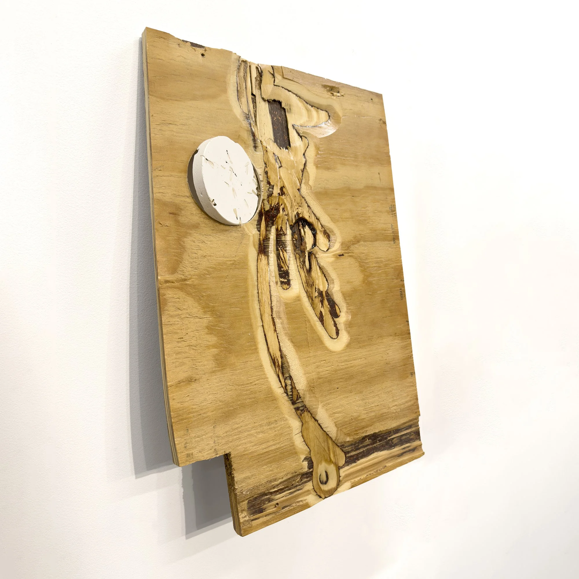 Interior Echoes 2 
Reclaimed termite-marked wood, joint compound, plaster, termites 
12.5” W x 18” H x 4” D 
2024