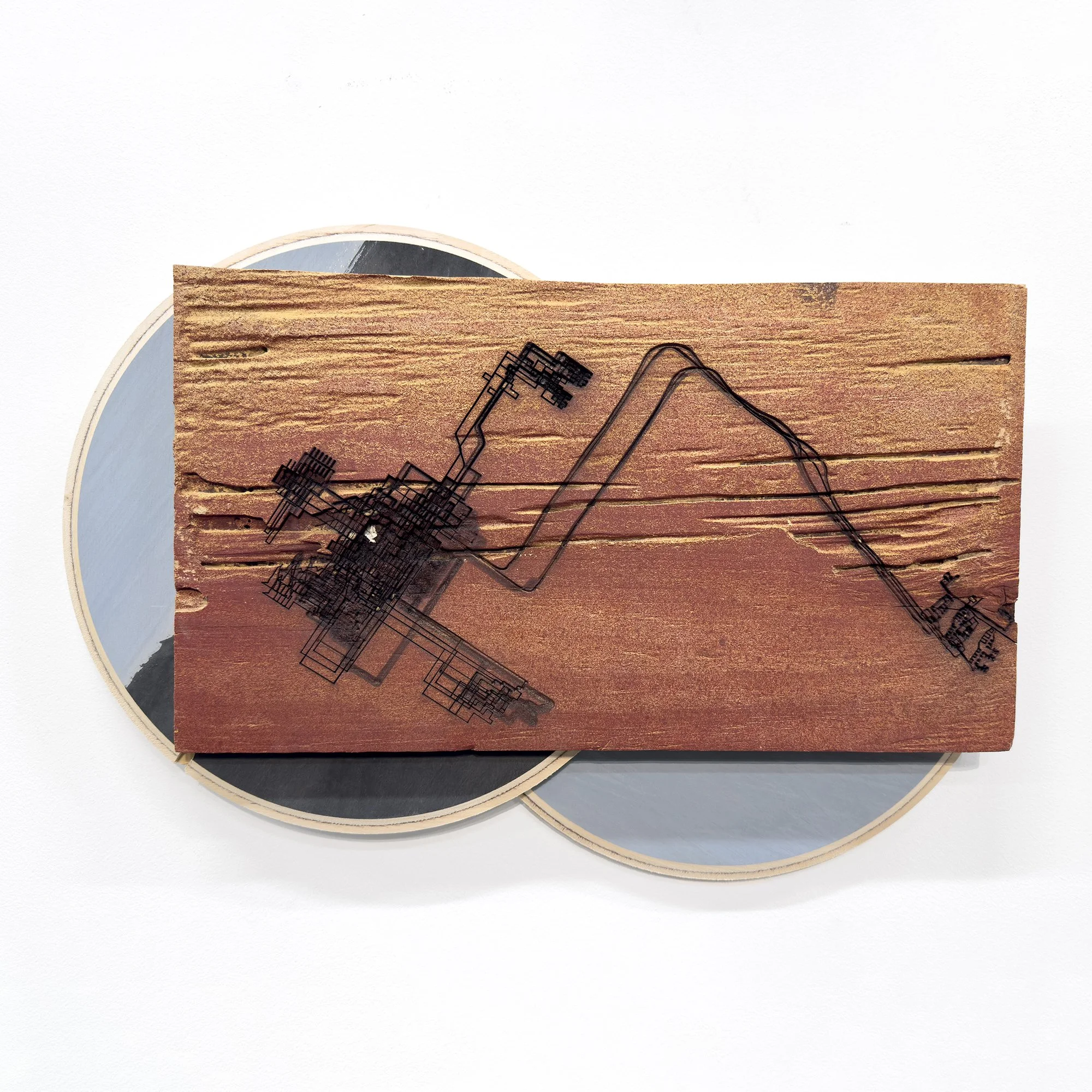 In Segment 
Termite-eaten wood, baltic birch plywood, milk paint, acrylic paint, termite wings 
18” W x 12” H x 1.5” D 
2024