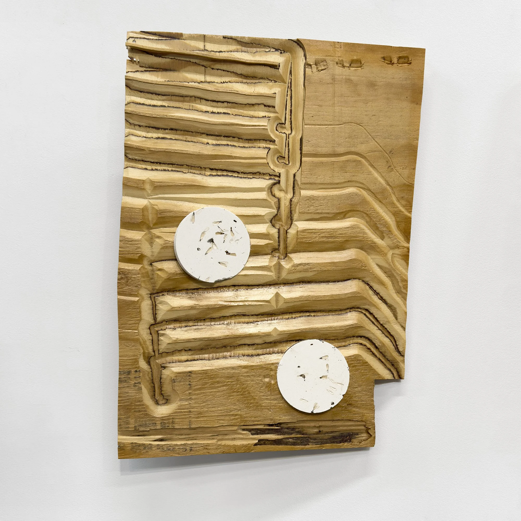 Interior Echoes 3 
Reclaimed termite-marked wood, joint compound, plaster, termites 
13” W x 18” H x 4” D 
2024