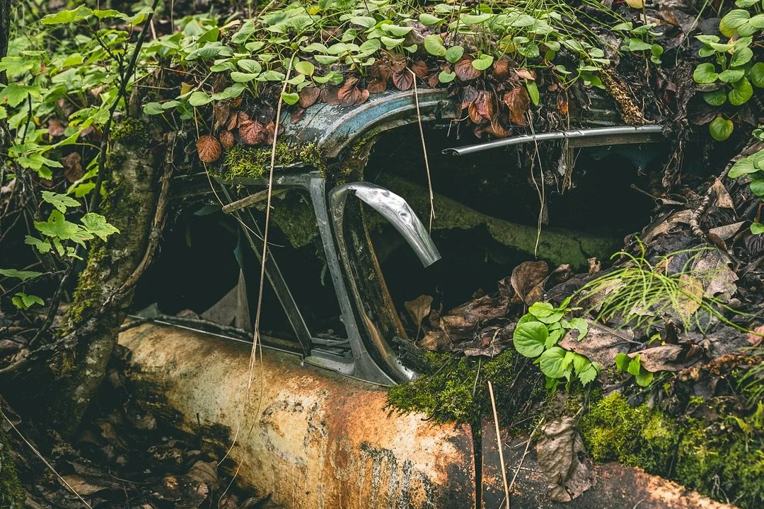 This is the first in a new series of abandoned cars I found walking near a glacier in Alaska. Such a pristine place with even more beauty hidden underneath. 📸🗺️📍🏔️

#renegade_rides #trb_autozone 
#abandonedcar
#rustlord
#rust_of_our_world
#myrust