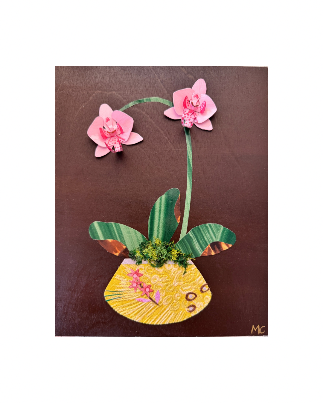 Untitled design 19.PNG