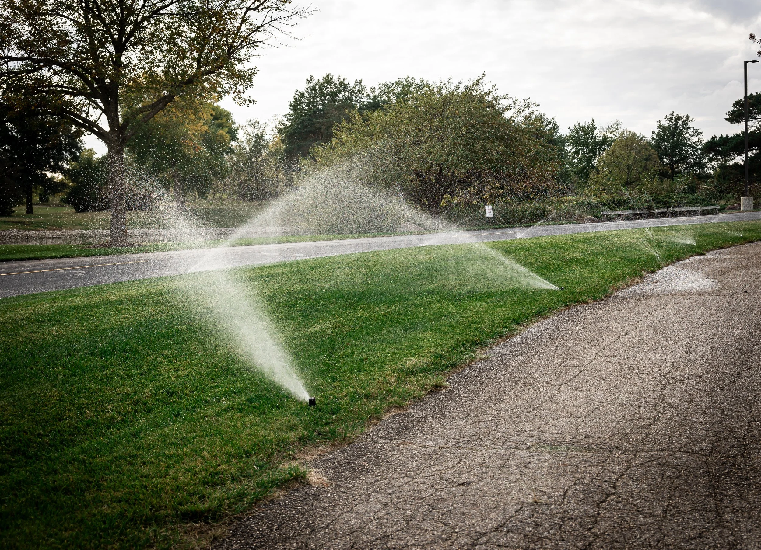Irrigation Image