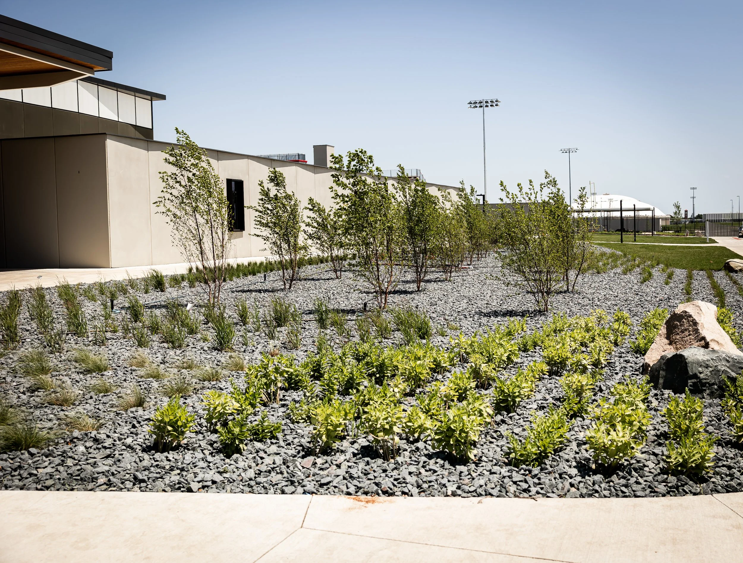 Cedar Falls Landscaping Project