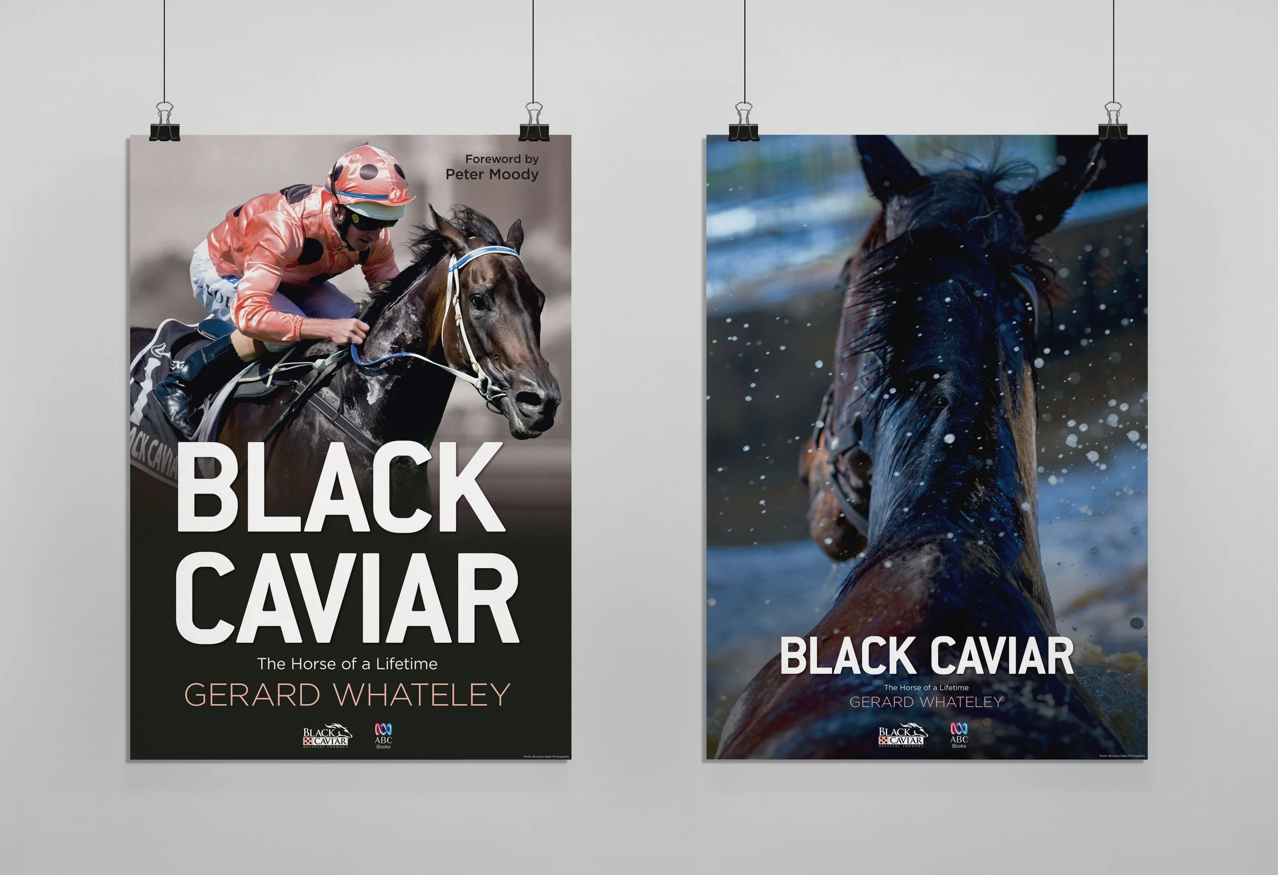 POSTER_BLACKCAV copy.jpg