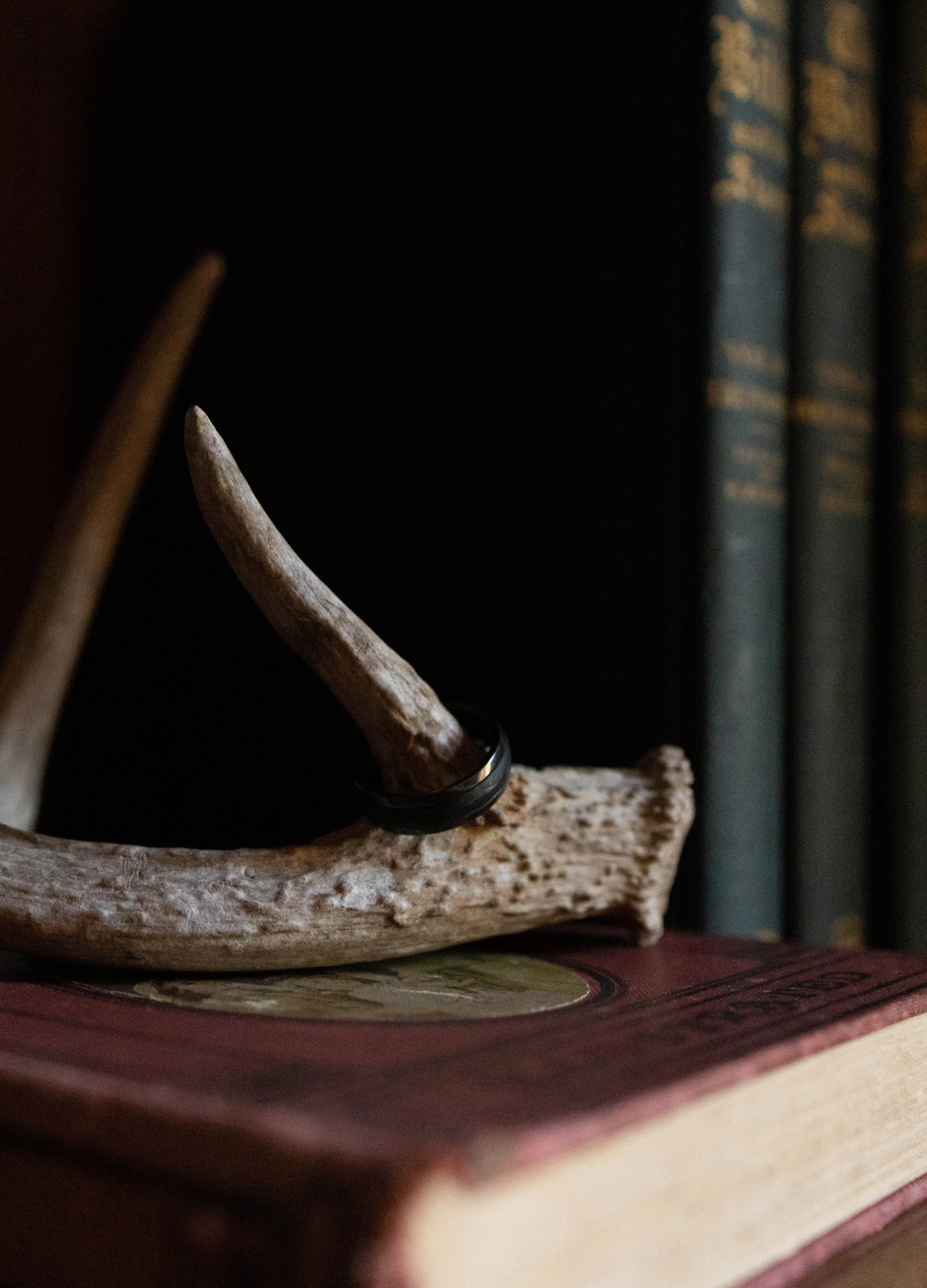 Engagment Session-8.jpg