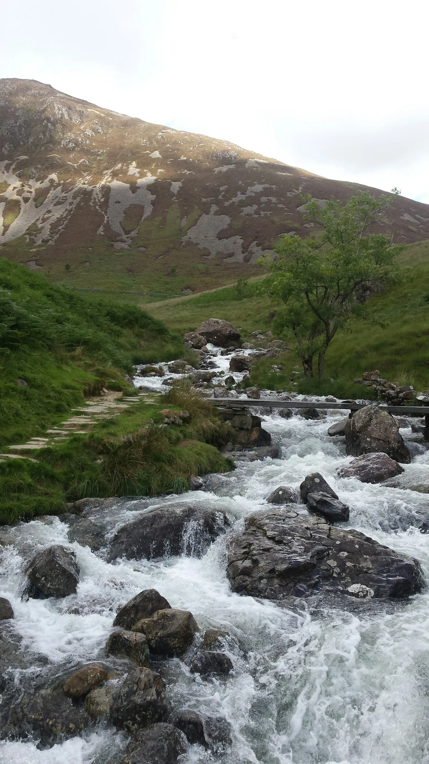 A mountain landscape with a flowing stream, green grass, and a tree in the foreground.
