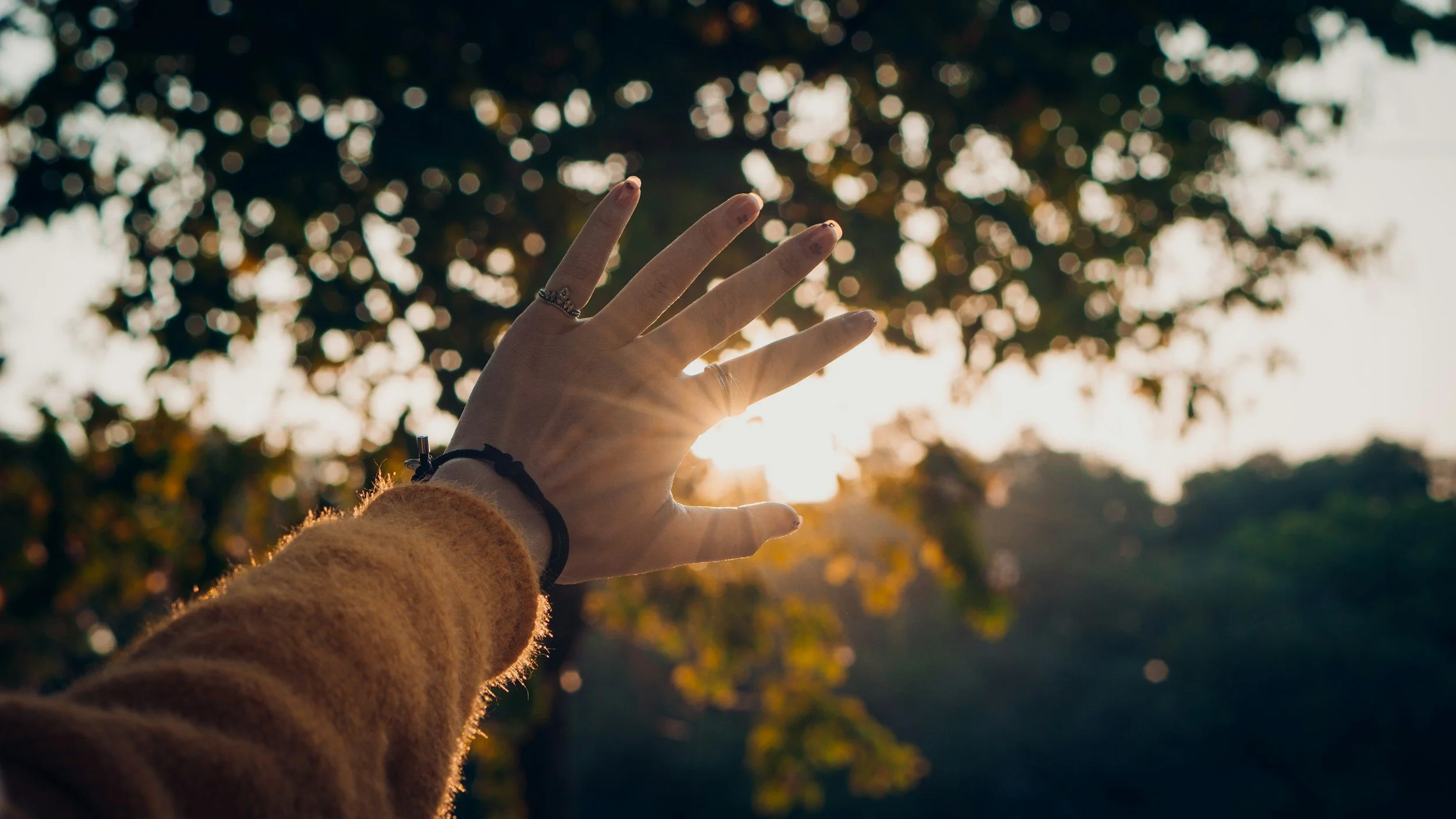 A person's hand with rings and a black bracelet reaching towards the sun, with blurred trees and fall foliage in the background during sunset.