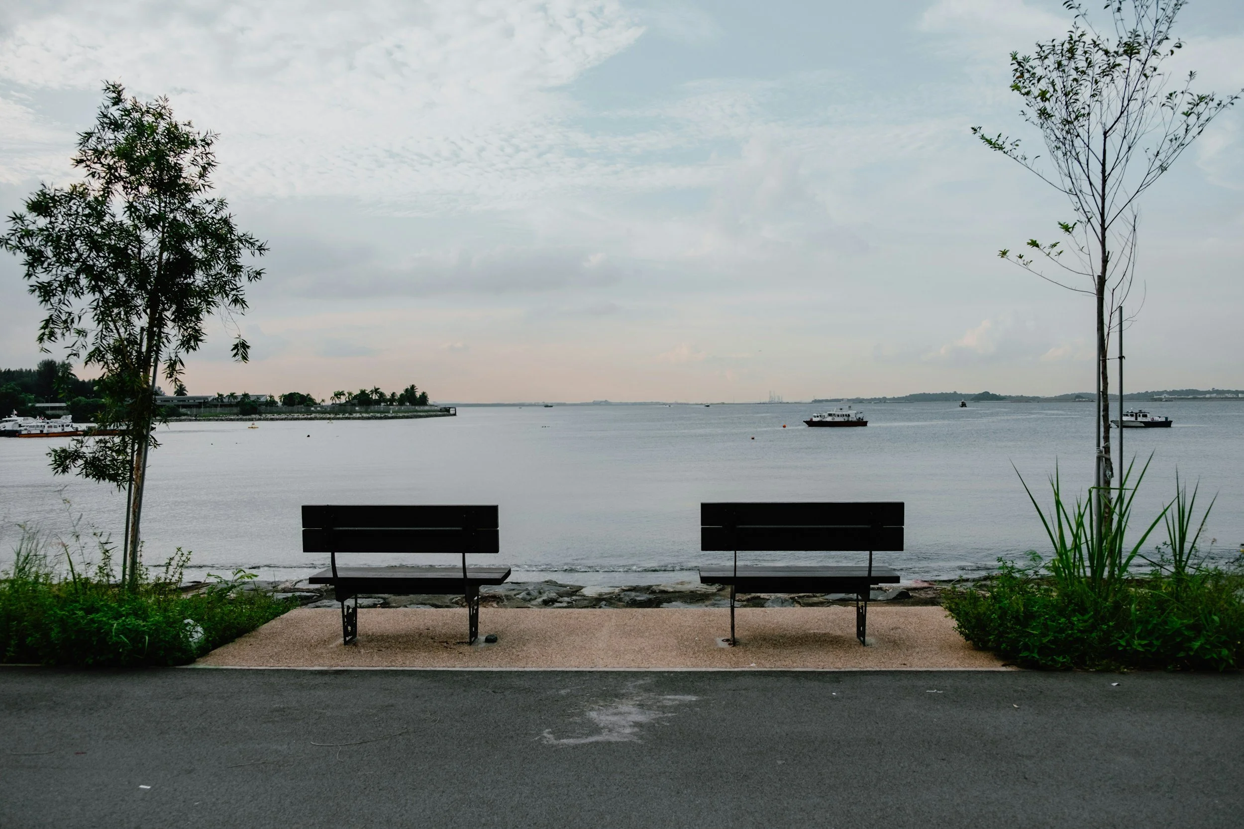 Two empty benches facing a large body of water, with two trees on either side in the foreground; boats floating on the water and a distant shoreline with trees and buildings under a cloudy sky.