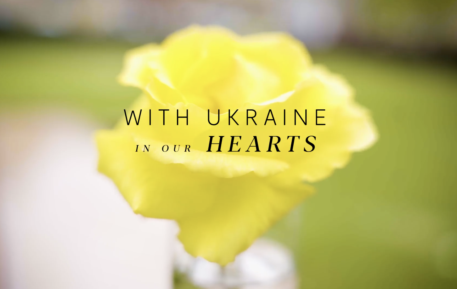 Project: With Ukraine in our hearts 
Event granted by Hobart City Council