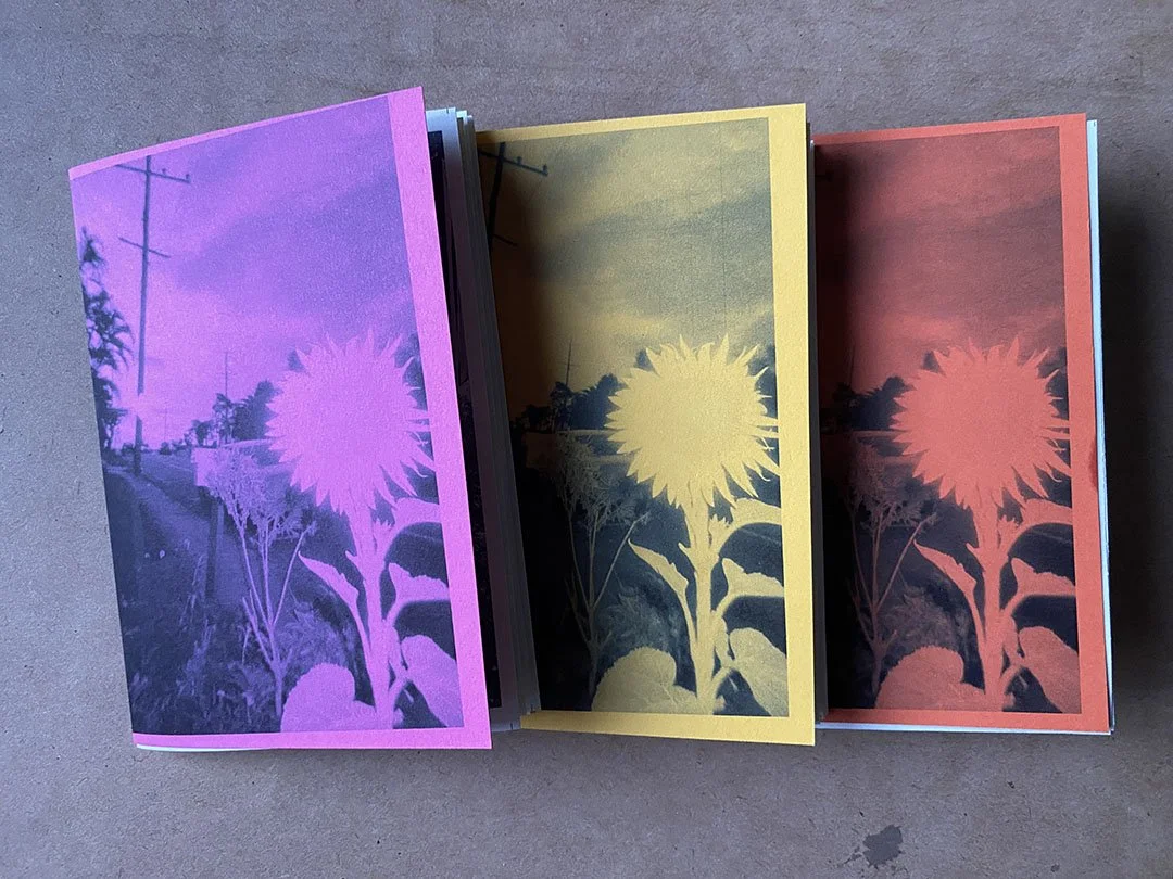 a6 sunflower zine.5.jpg